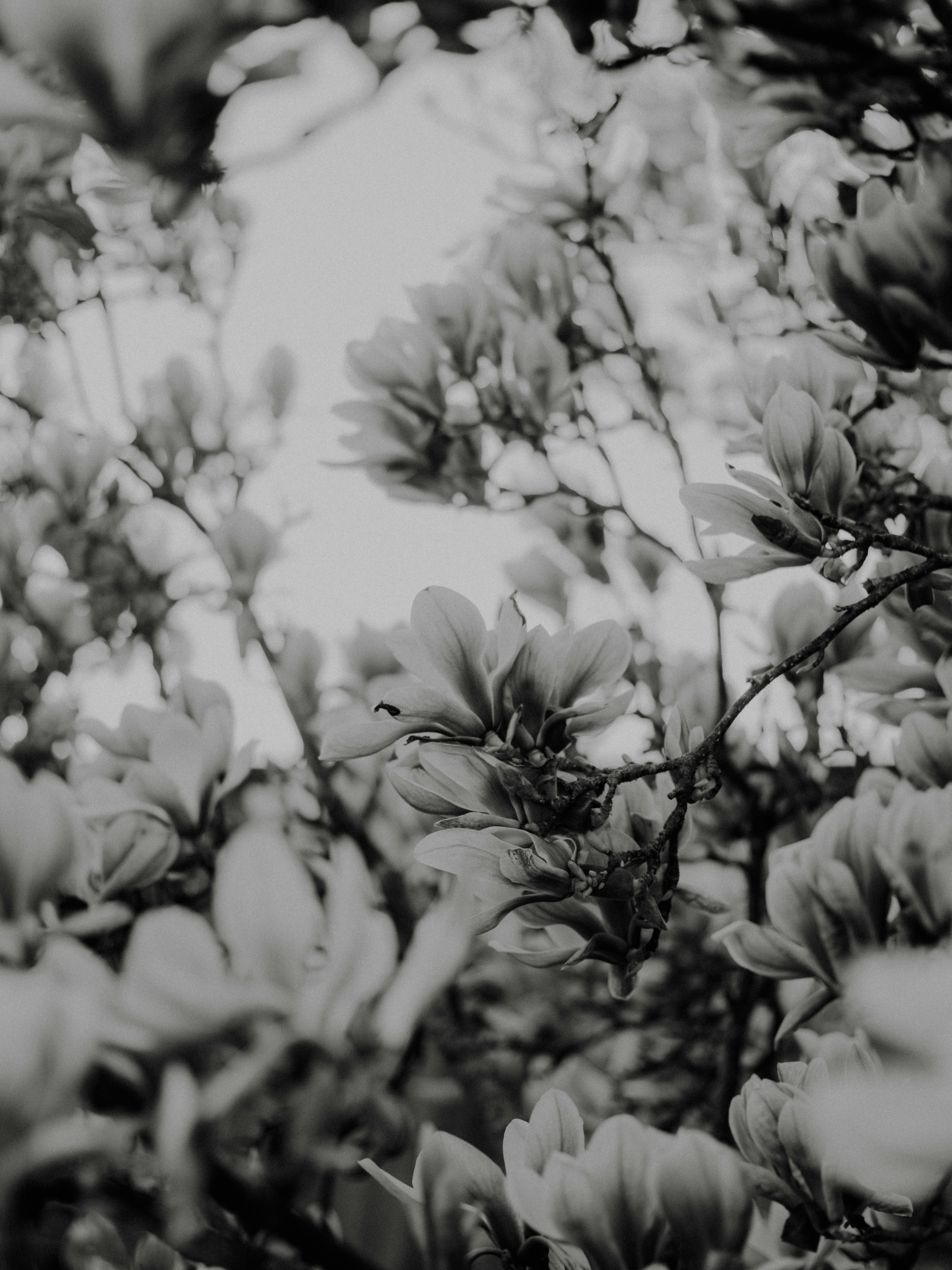 Photo by anniespratt