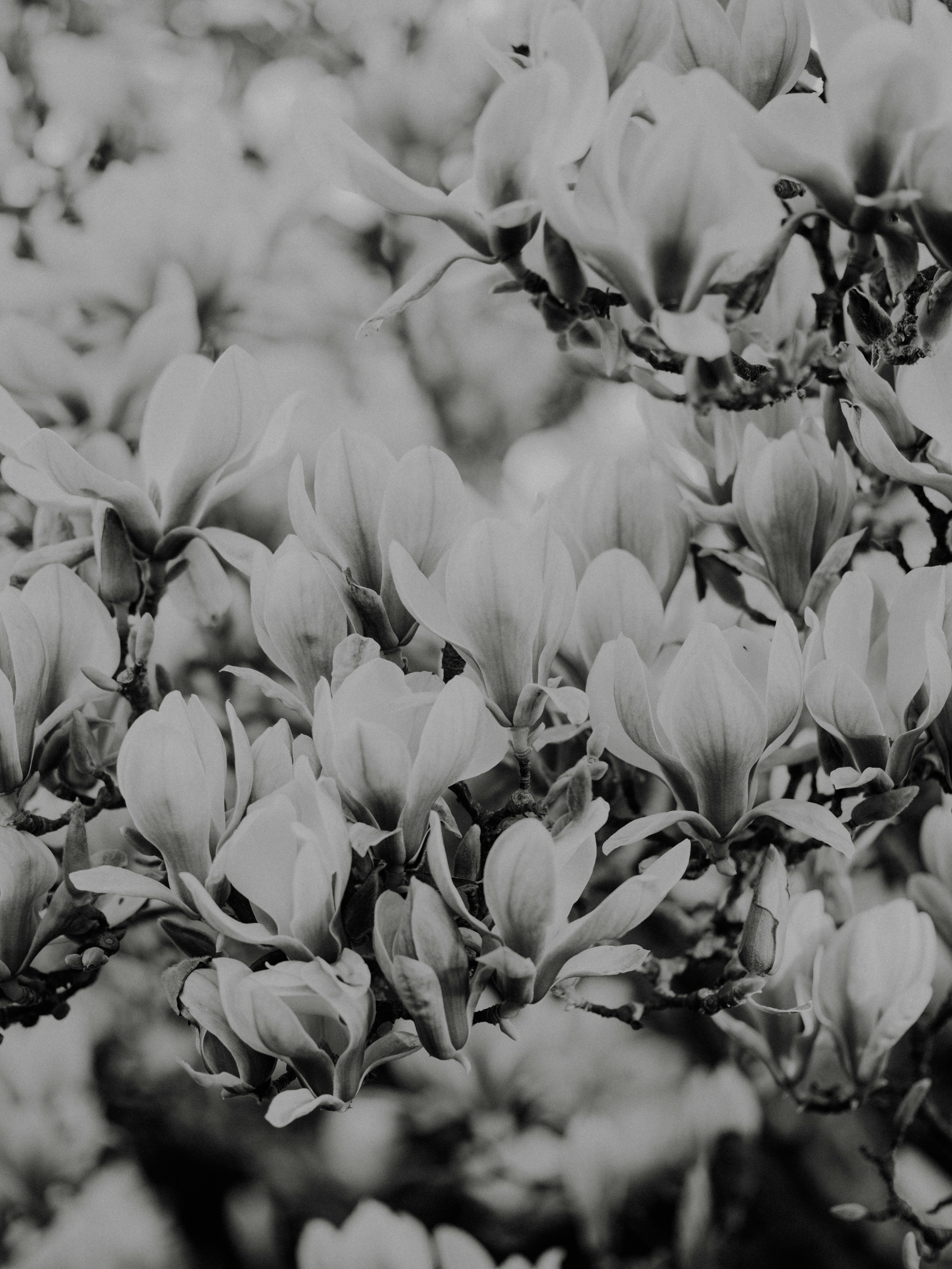 Photo by anniespratt