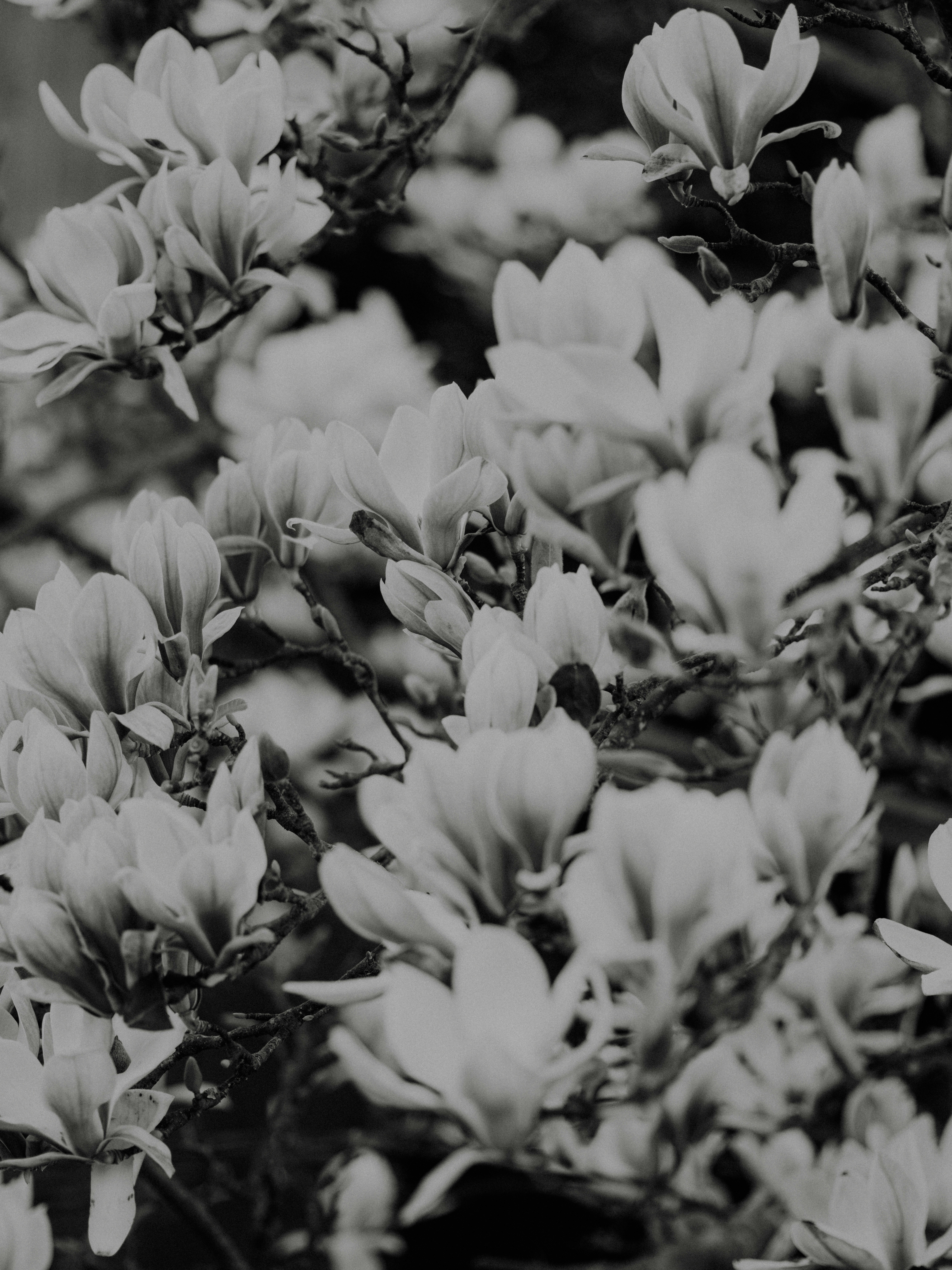 Photo by anniespratt