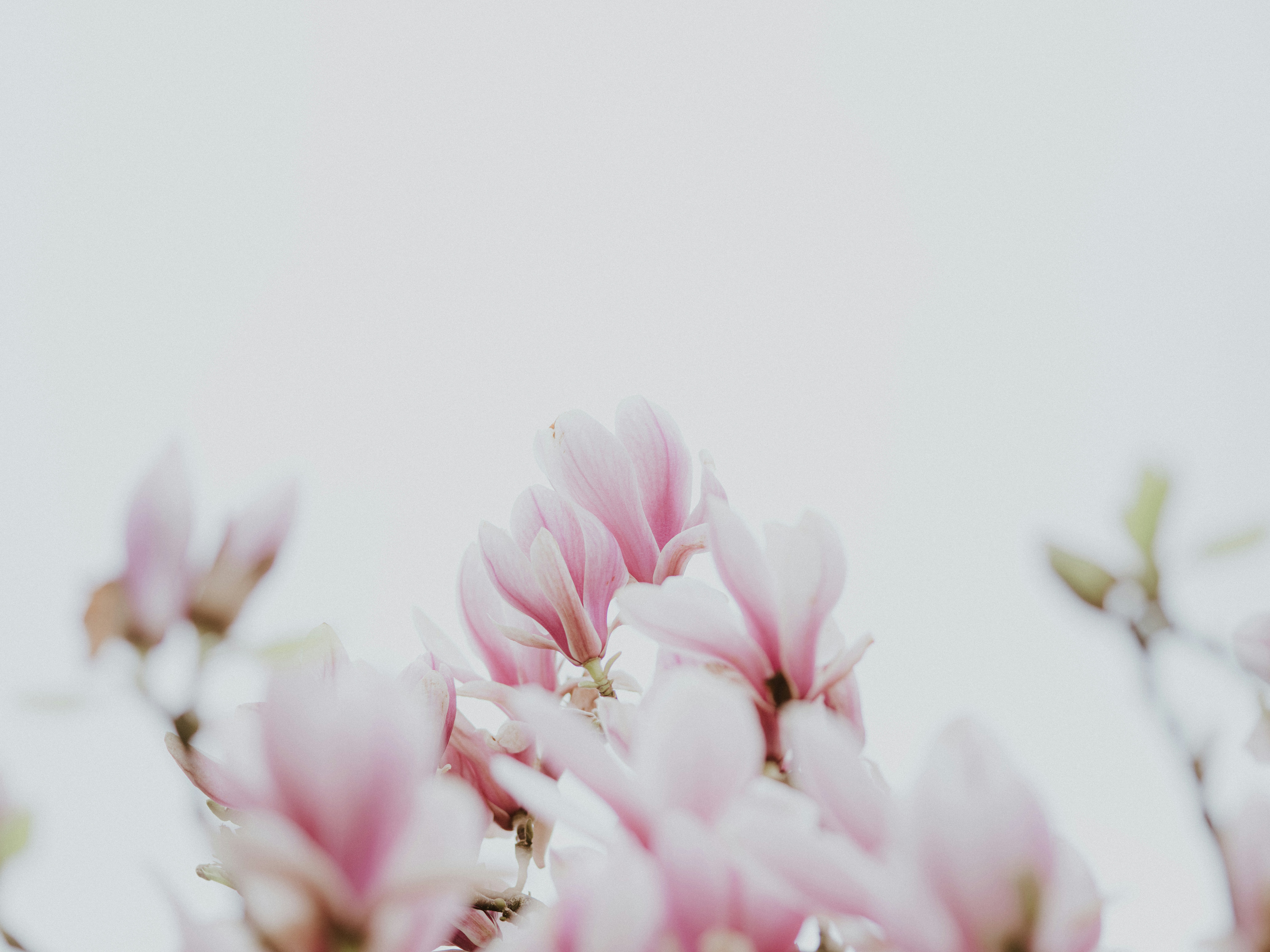 Photo by anniespratt