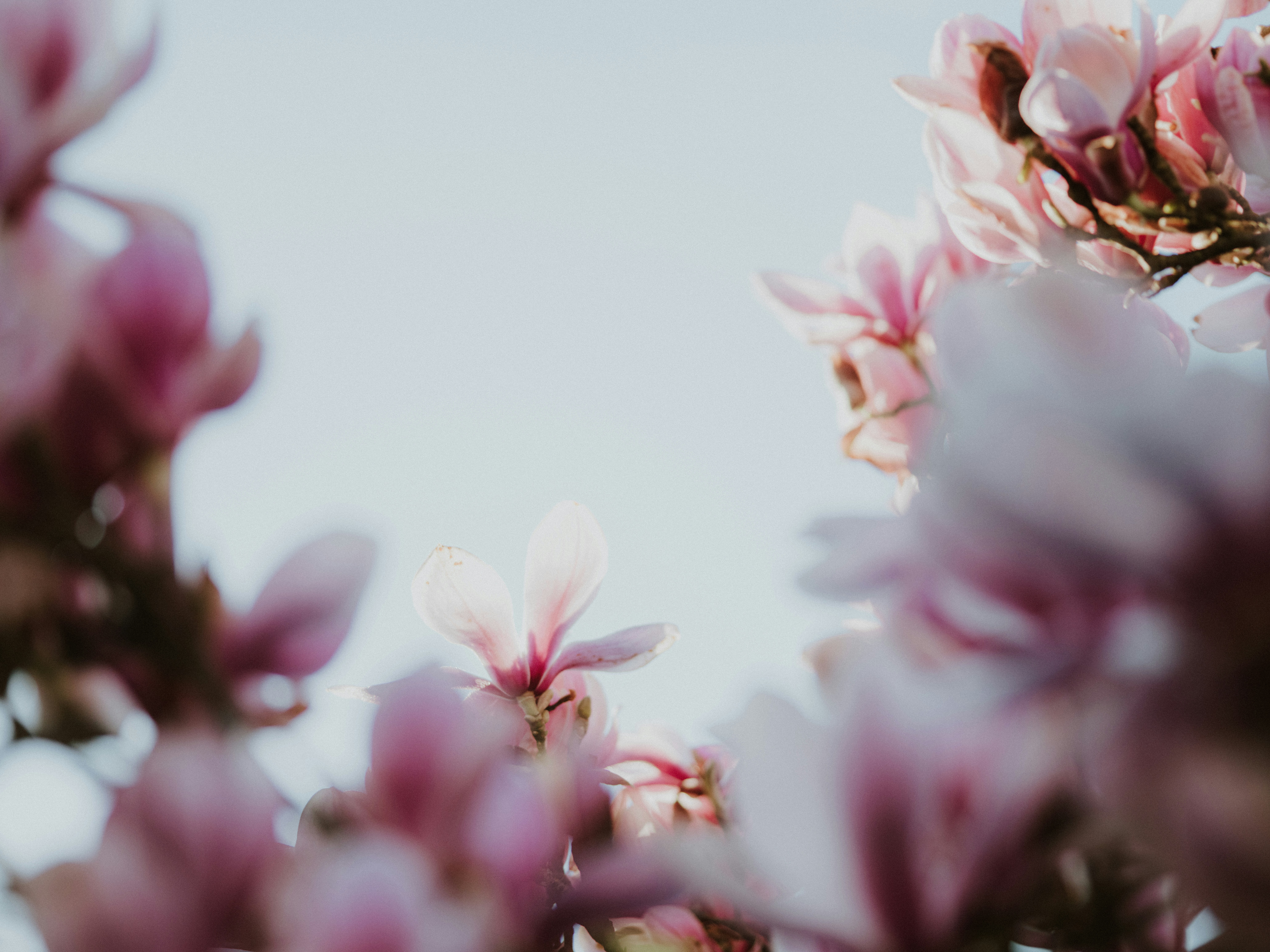 Photo by anniespratt