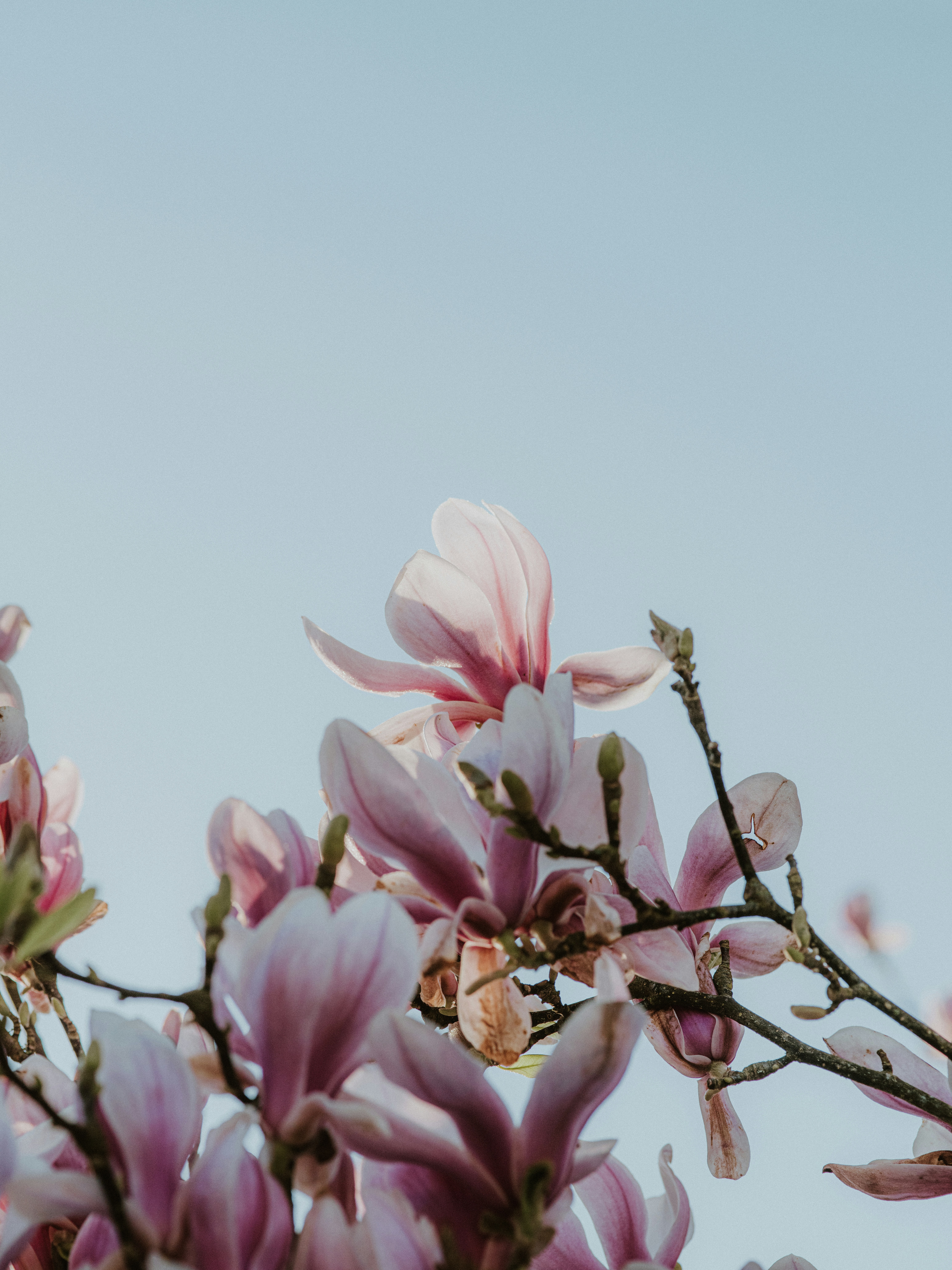 Photo by anniespratt