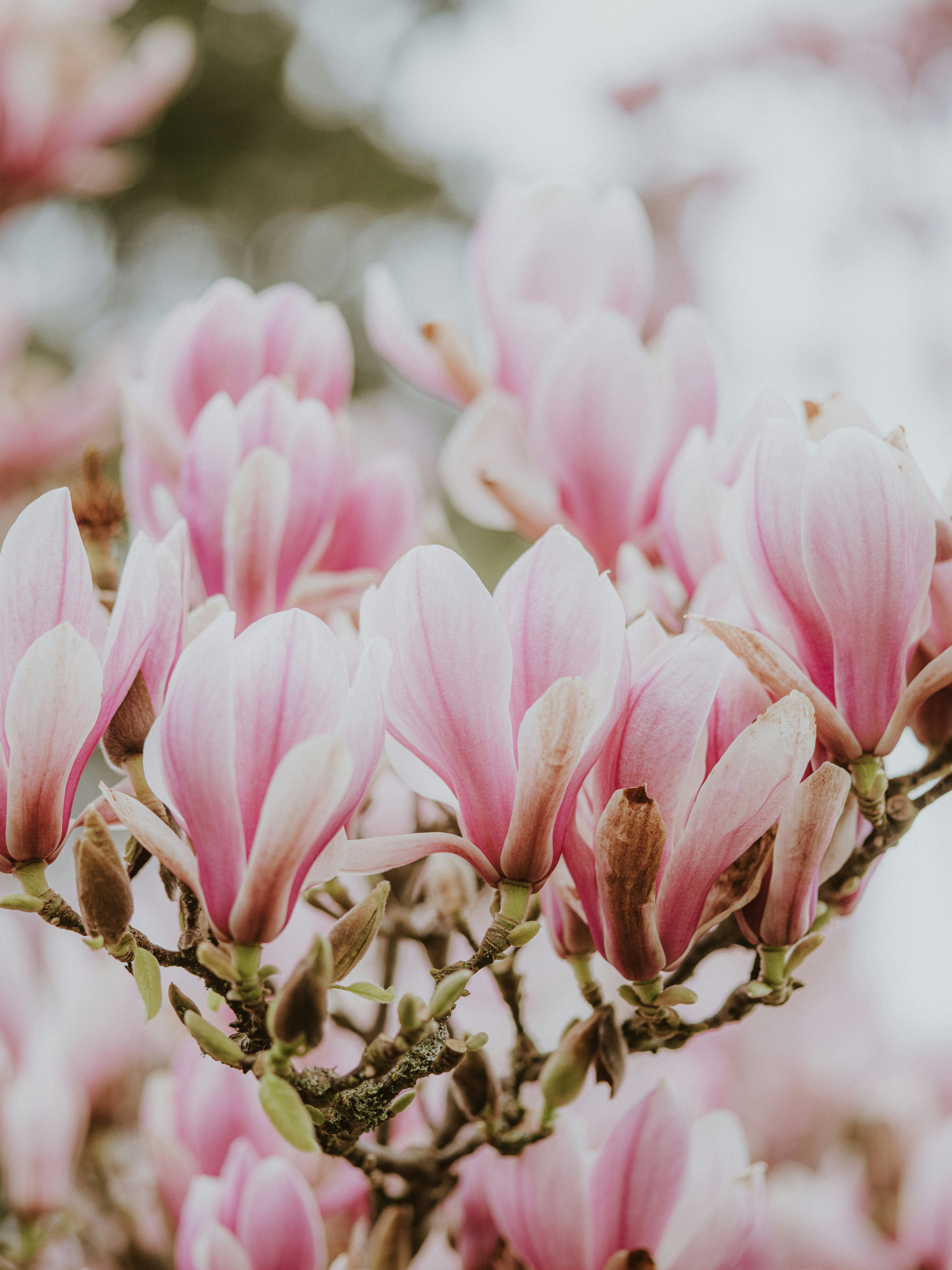 Photo by anniespratt