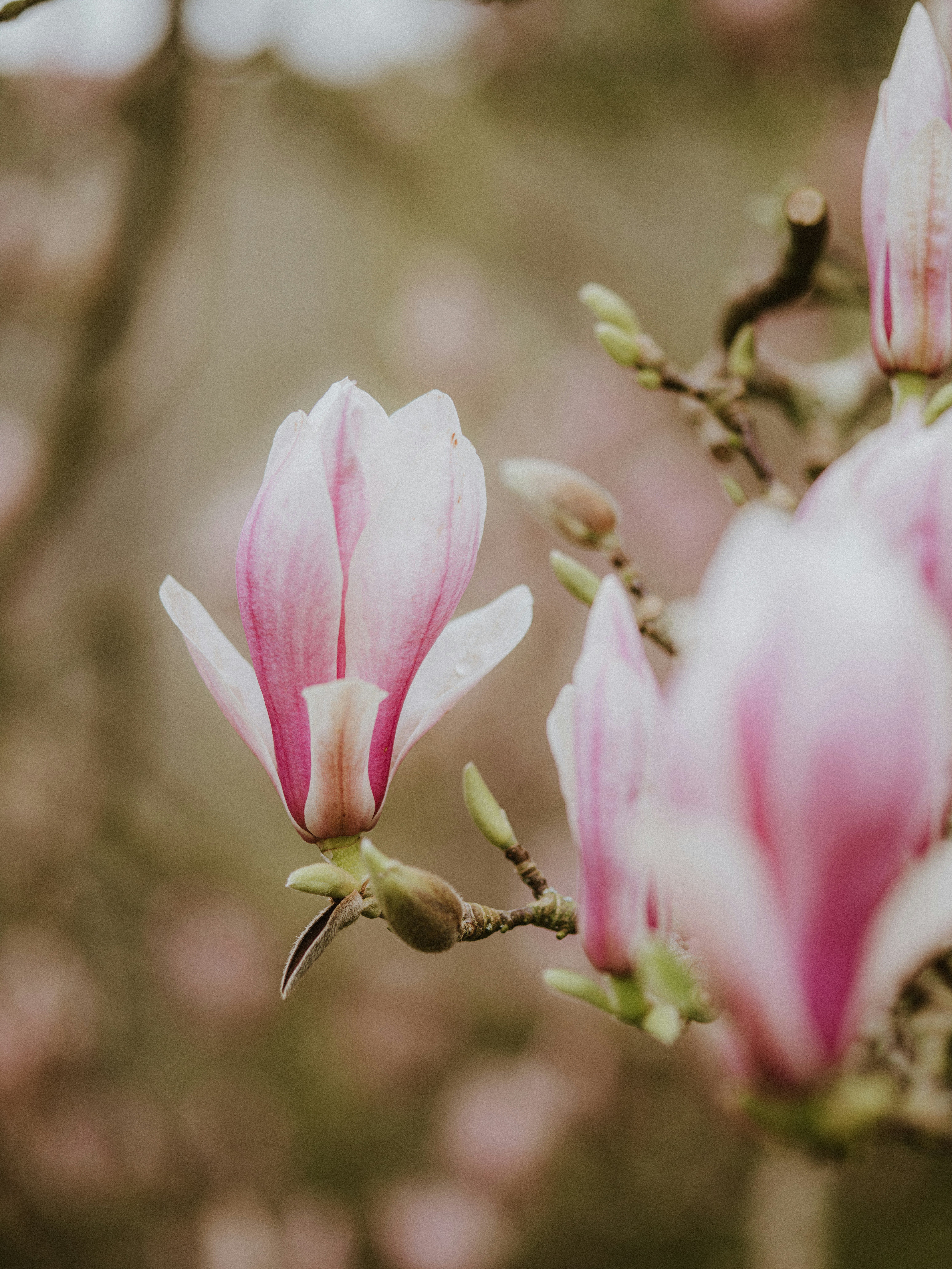 Photo by anniespratt