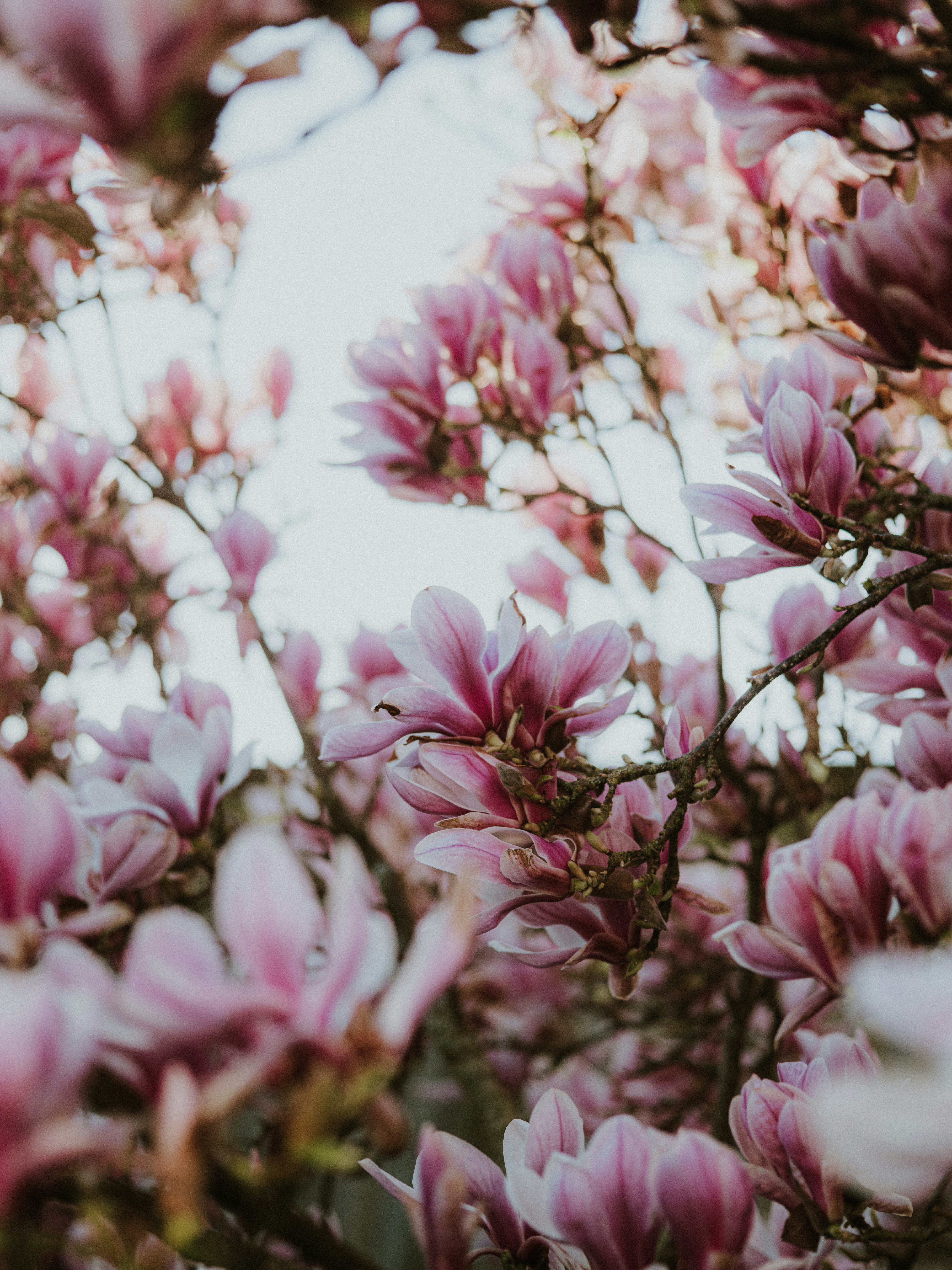 Photo by anniespratt