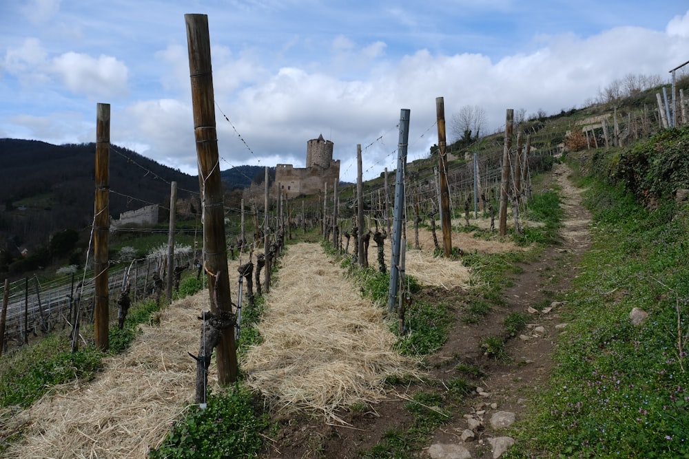 um caminho de terra que leva a um castelo em uma colina