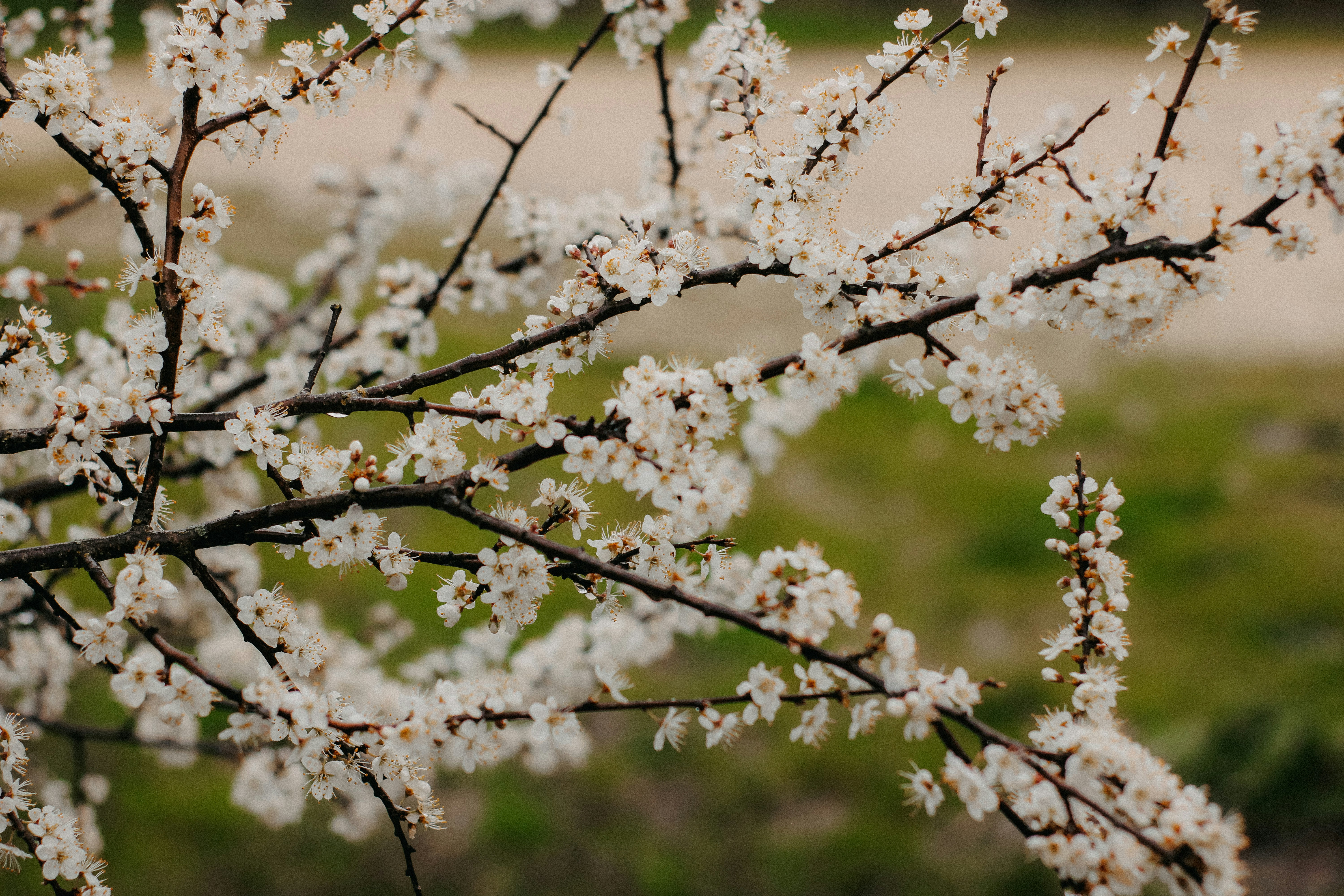Photo by natinati