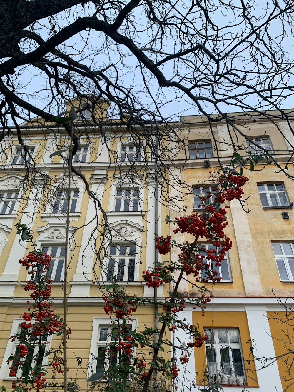 a tall building with lots of windows next to a tree