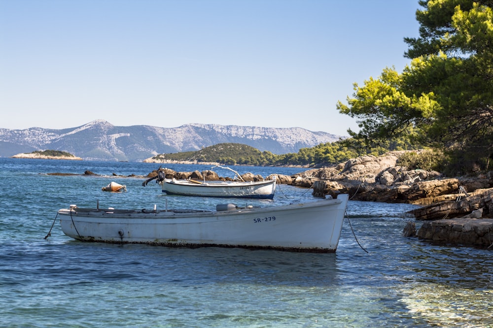 a couple of boats floating on top of a body of water