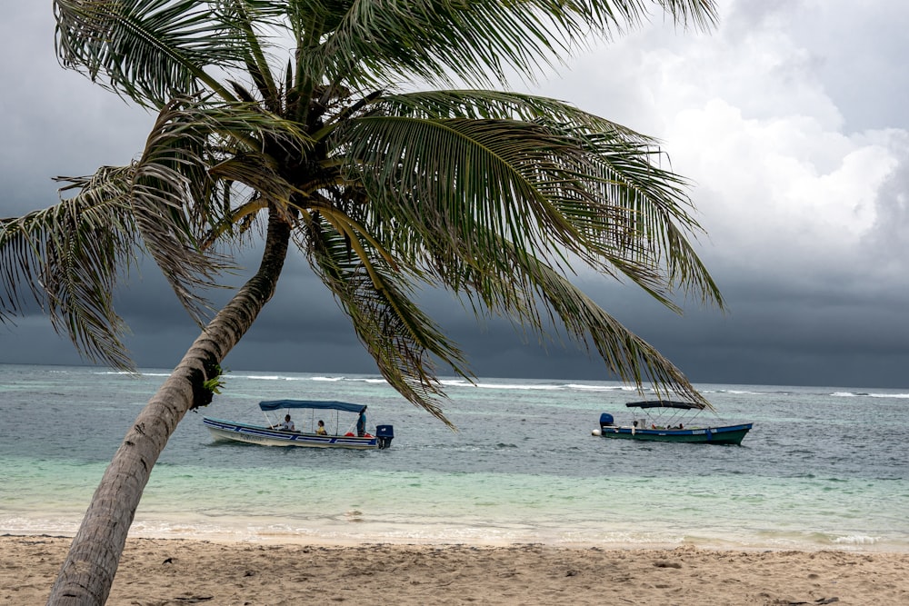 a couple of boats that are sitting in the water