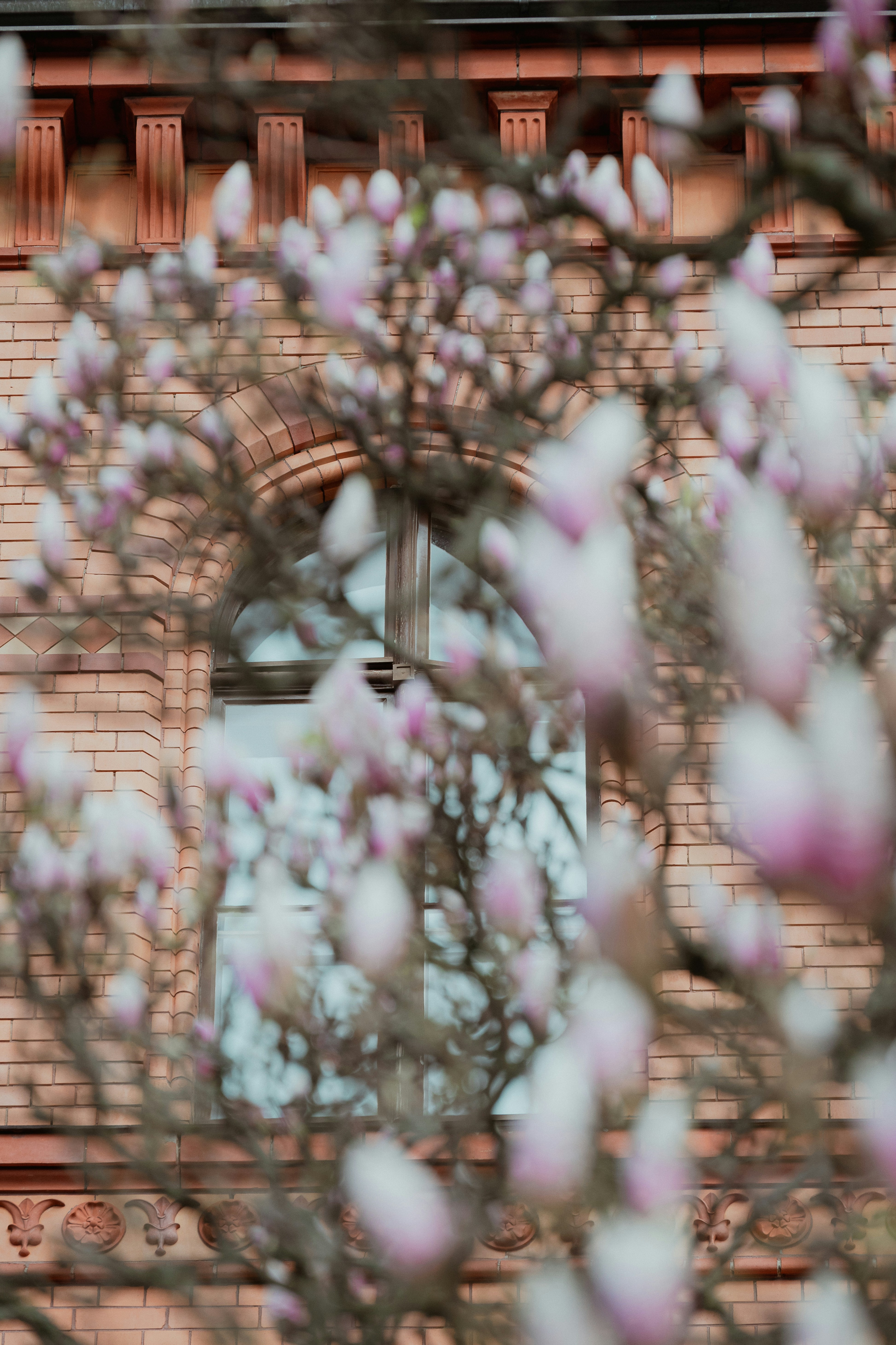 Photo by jetztabertempo