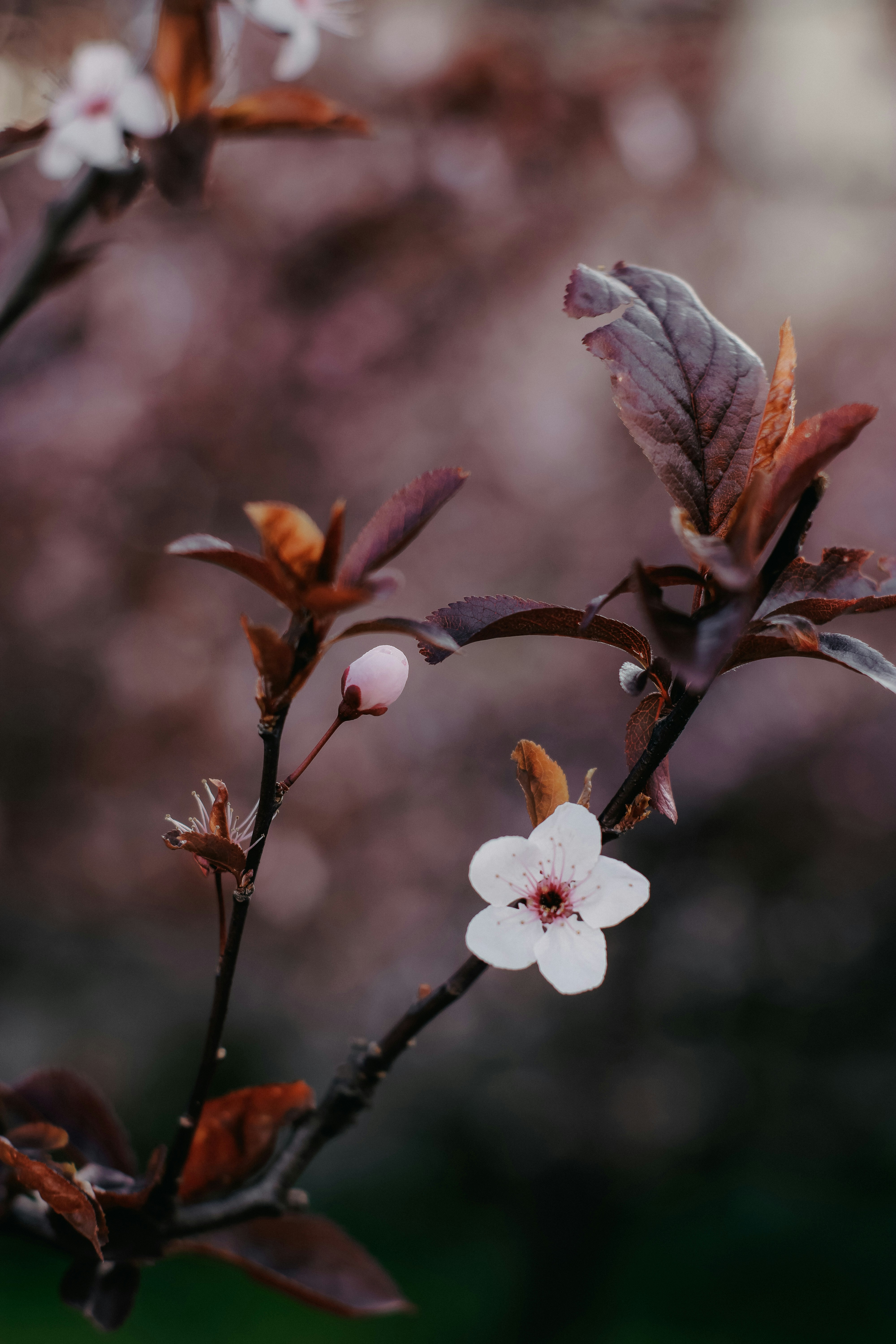 Photo by natinati