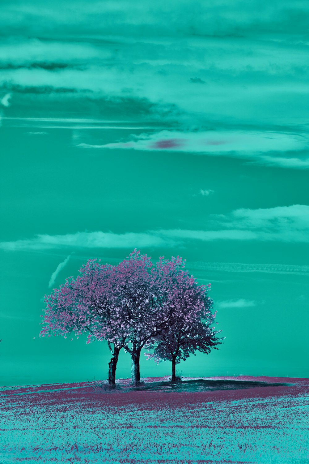 a painting of two trees in the middle of a field