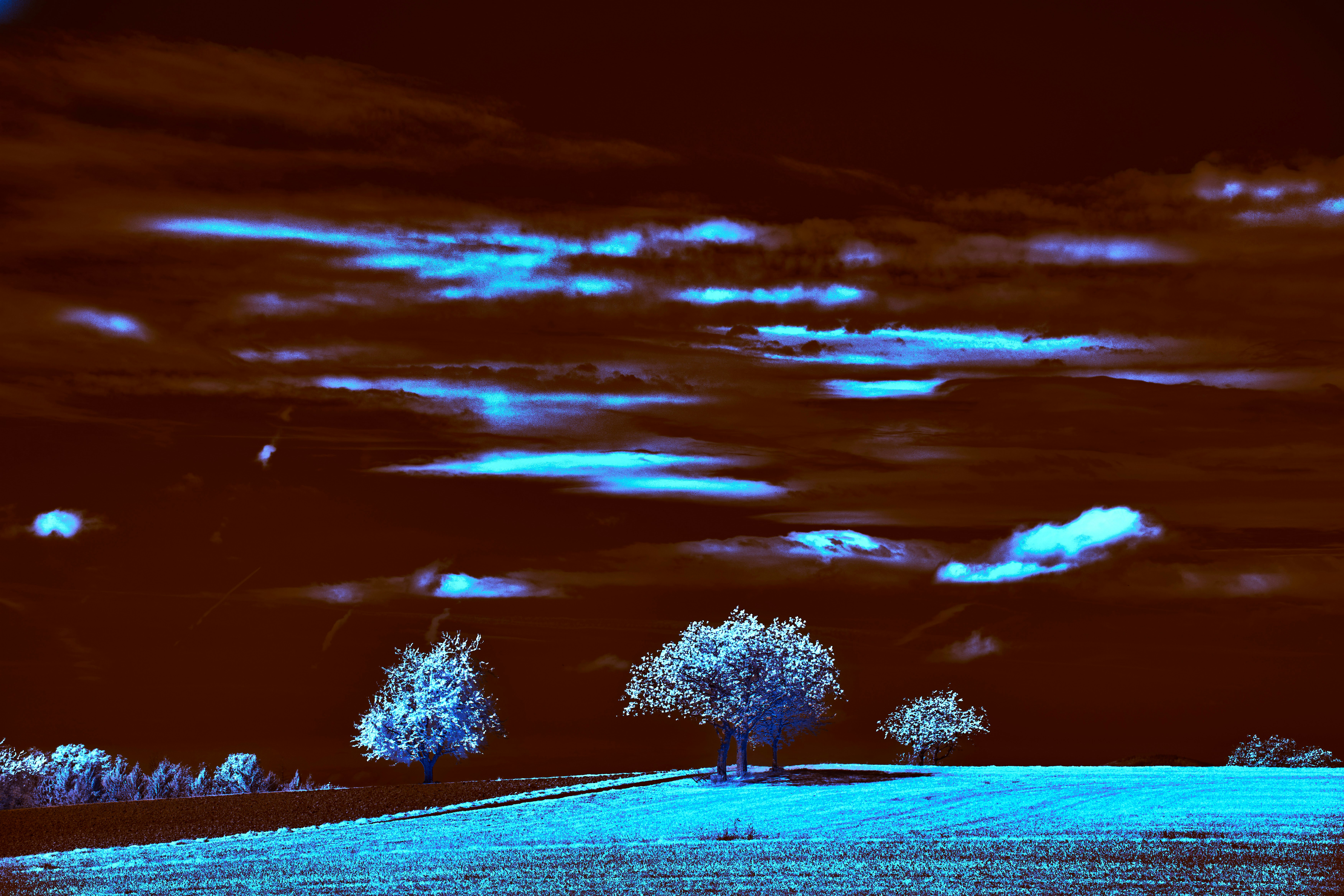 Photo by wolfgang_hasselmann