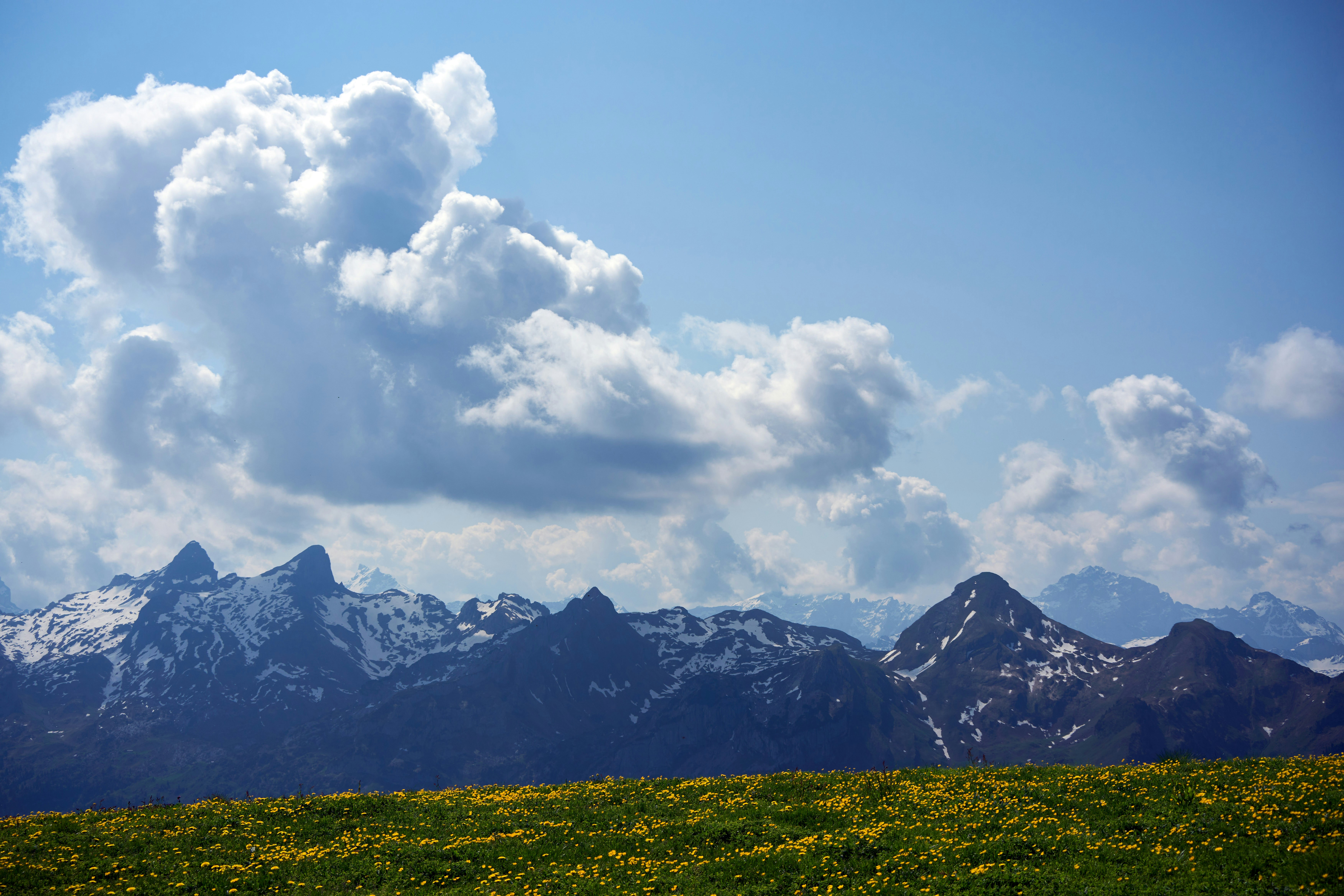 Photo by wolfgang_hasselmann