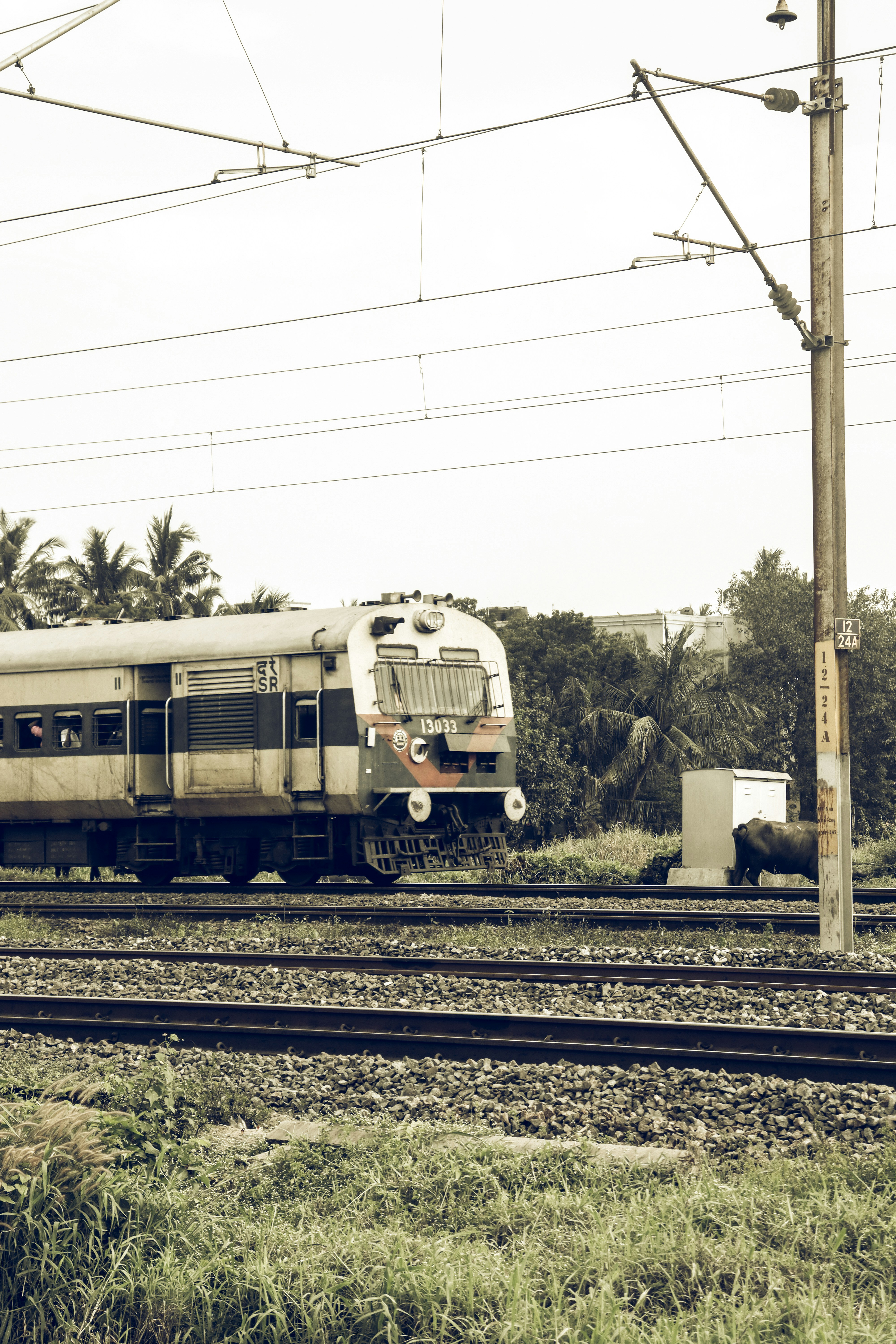 Photo by gowthamagm