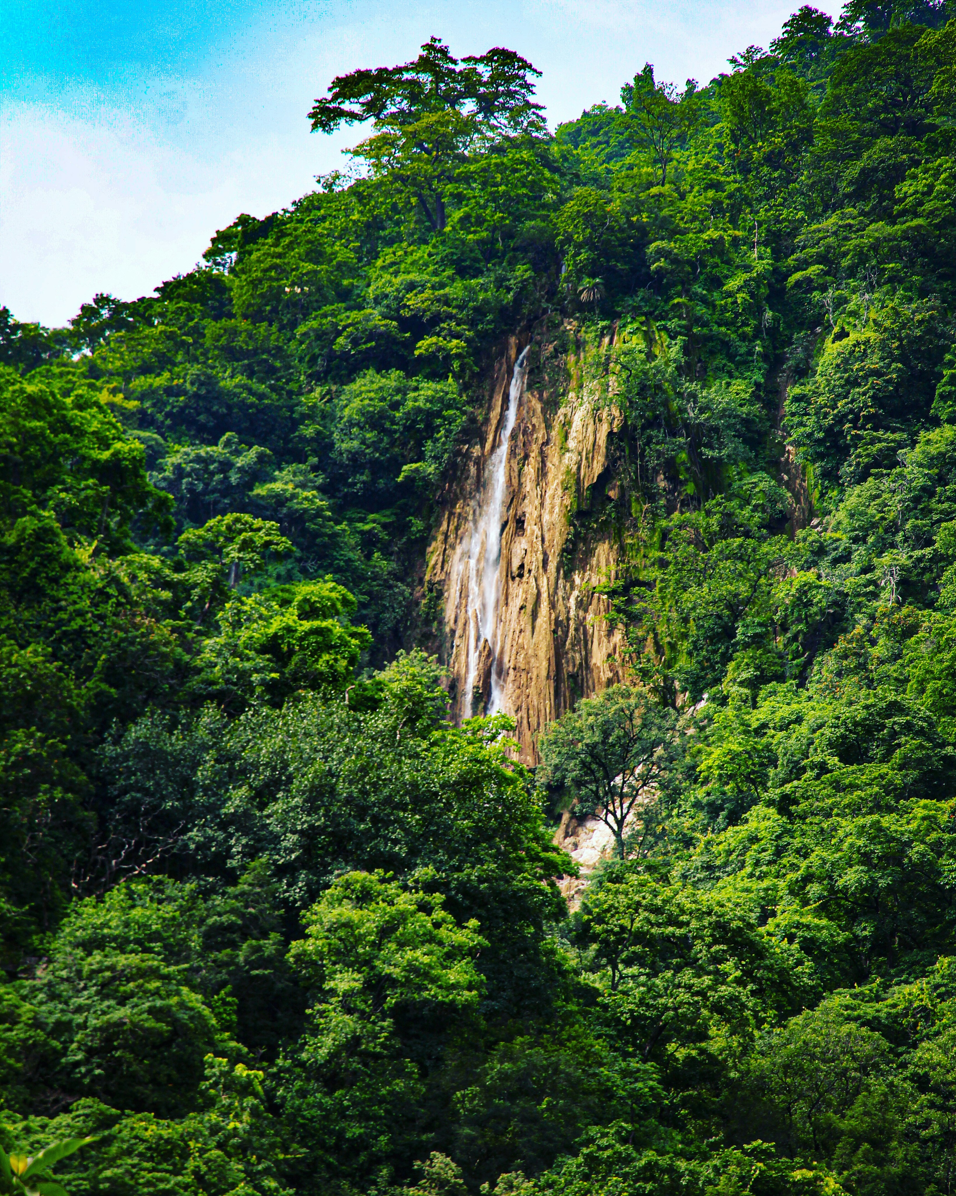 a waterfall in the middle of a lush green forest