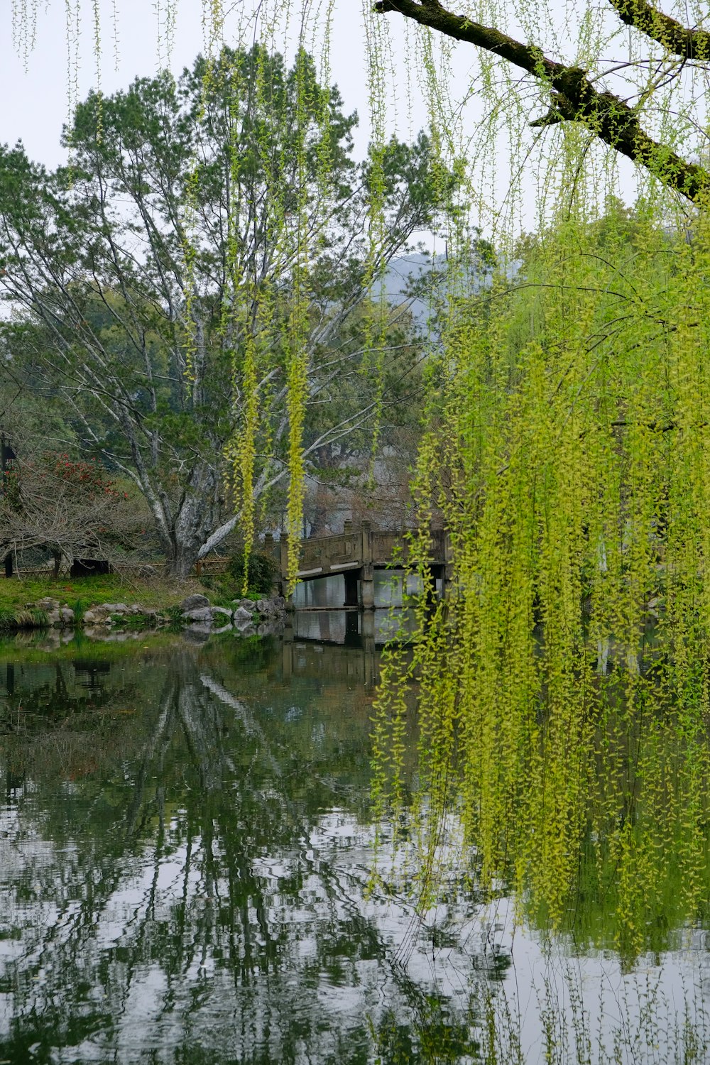 a body of water surrounded by trees and a bridge