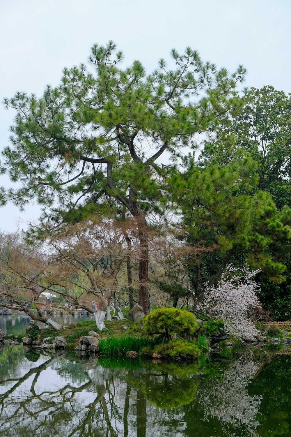 a pond surrounded by trees in a park