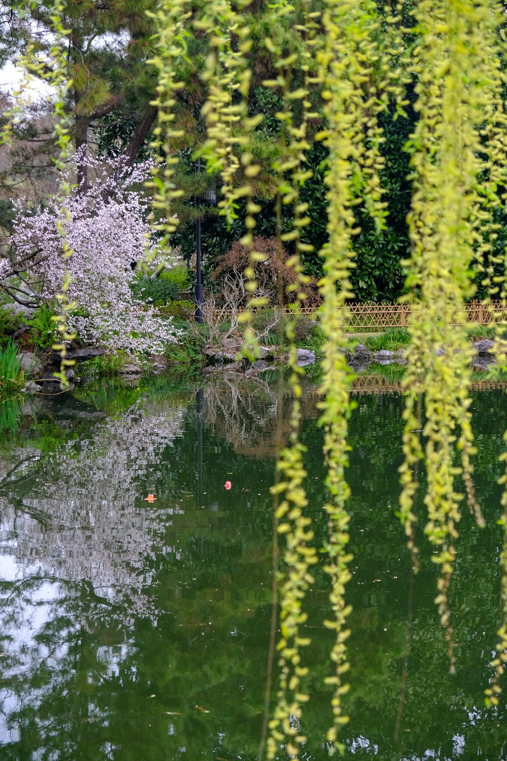 a body of water surrounded by trees and bushes