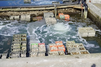 a bunch of crates that are in the water