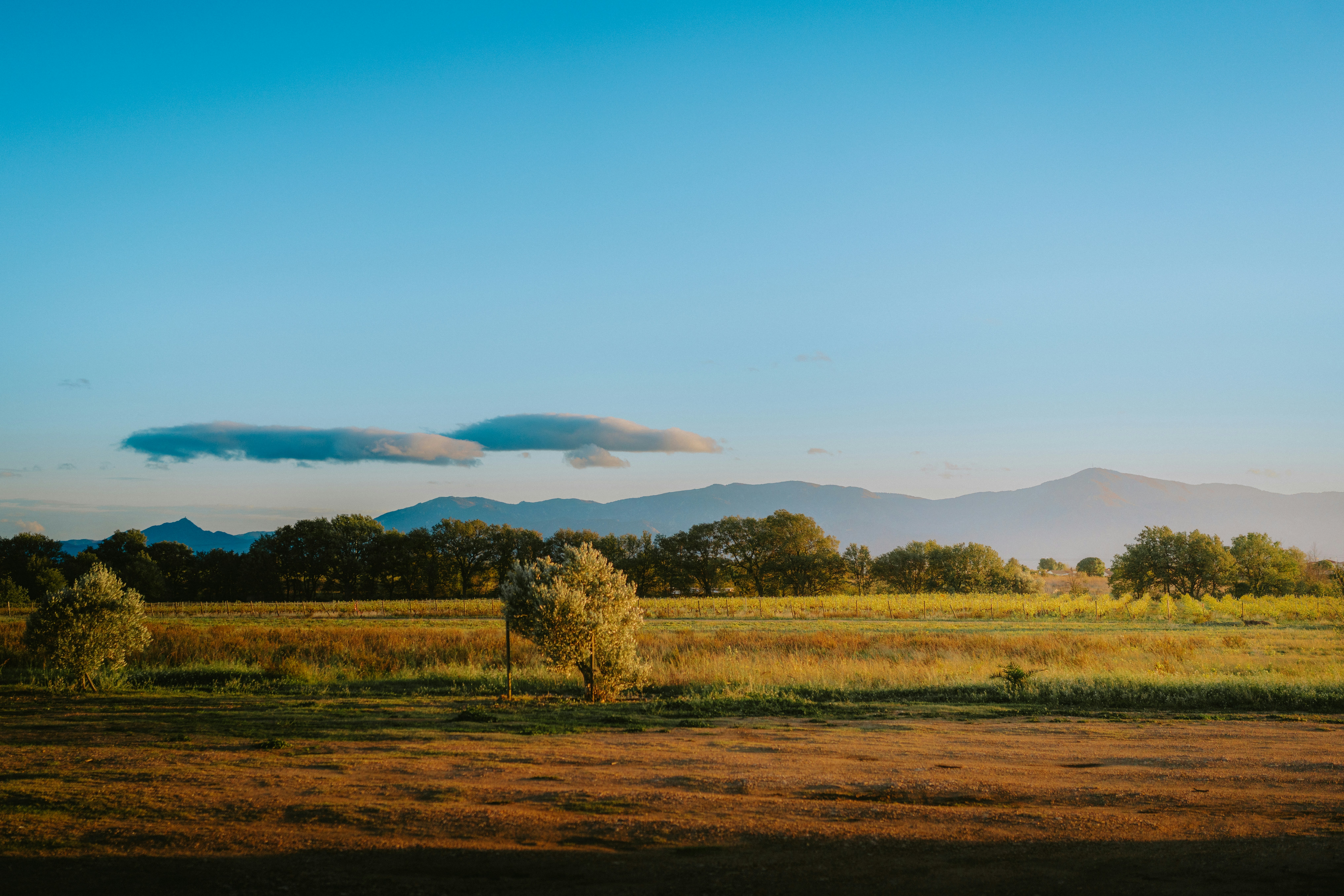 Photo by mathieuodin