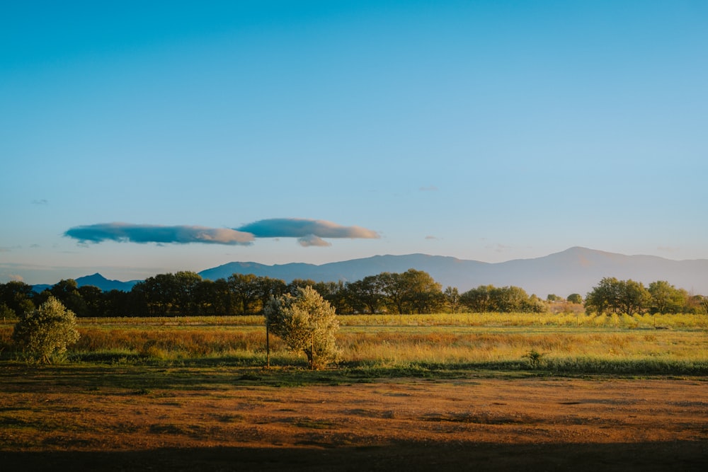 a field with trees and mountains in the background