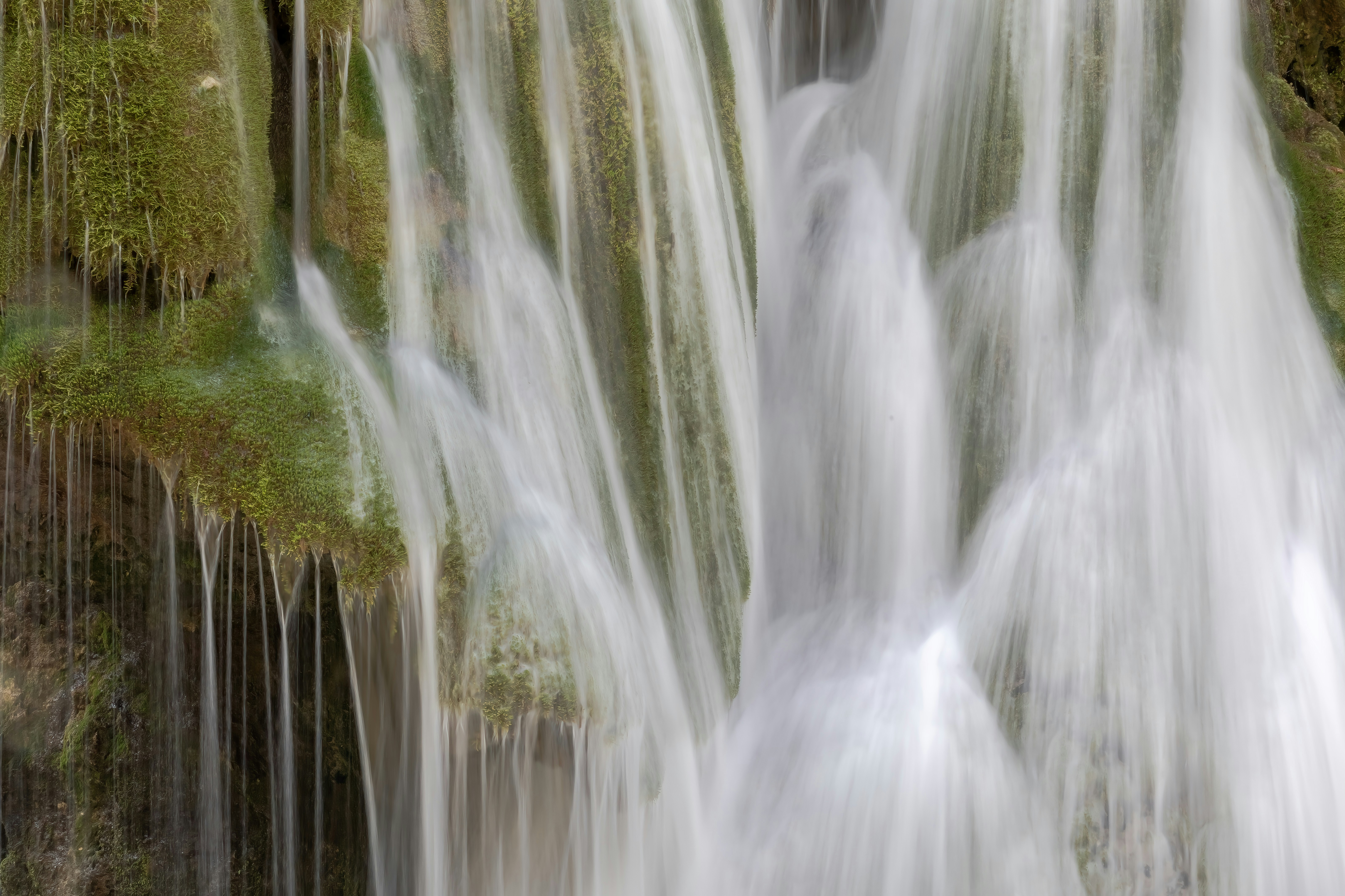 Photo by ovidiugruescu