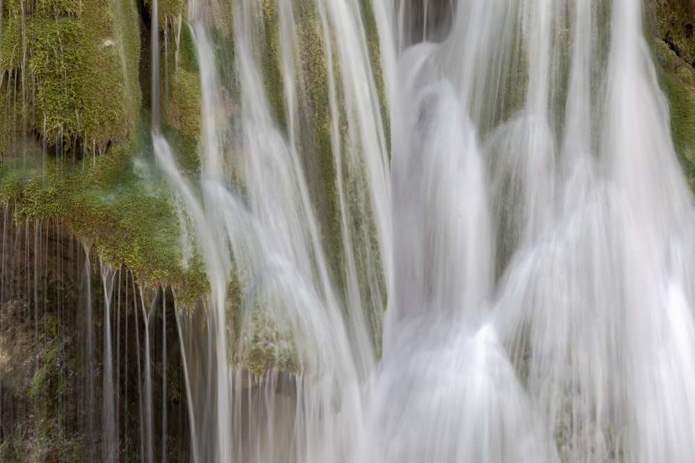 a close up of a waterfall with moss growing on it