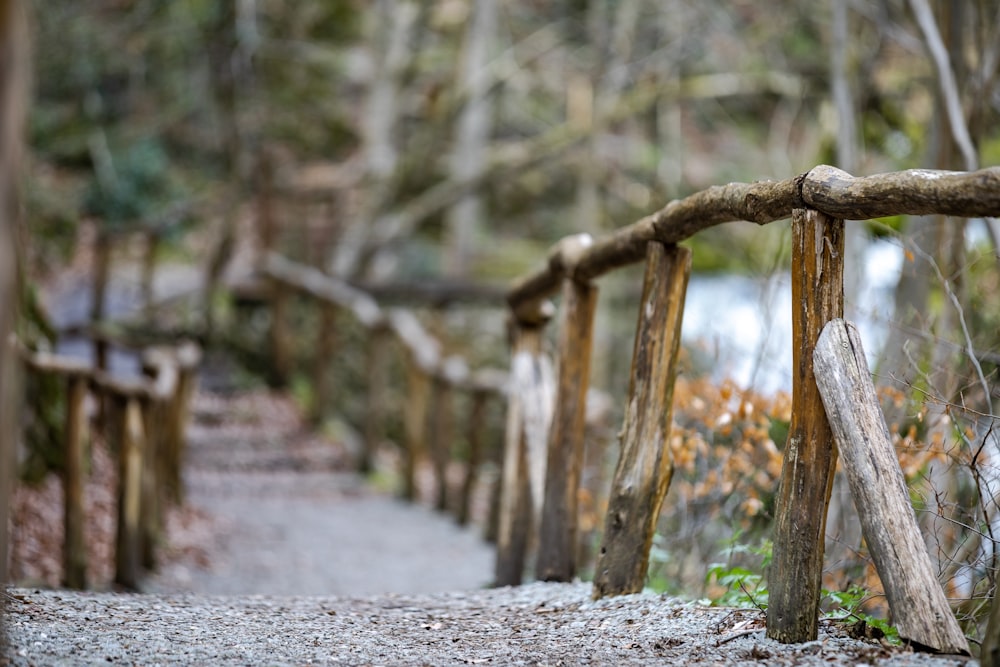 a wooden bridge in the middle of a forest