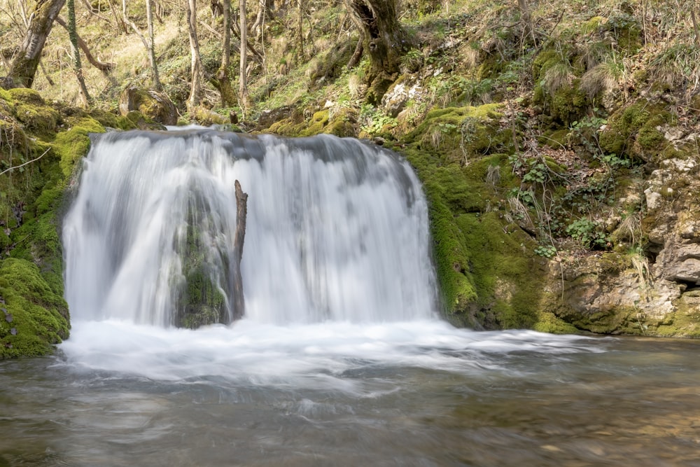 a small waterfall in the middle of a forest