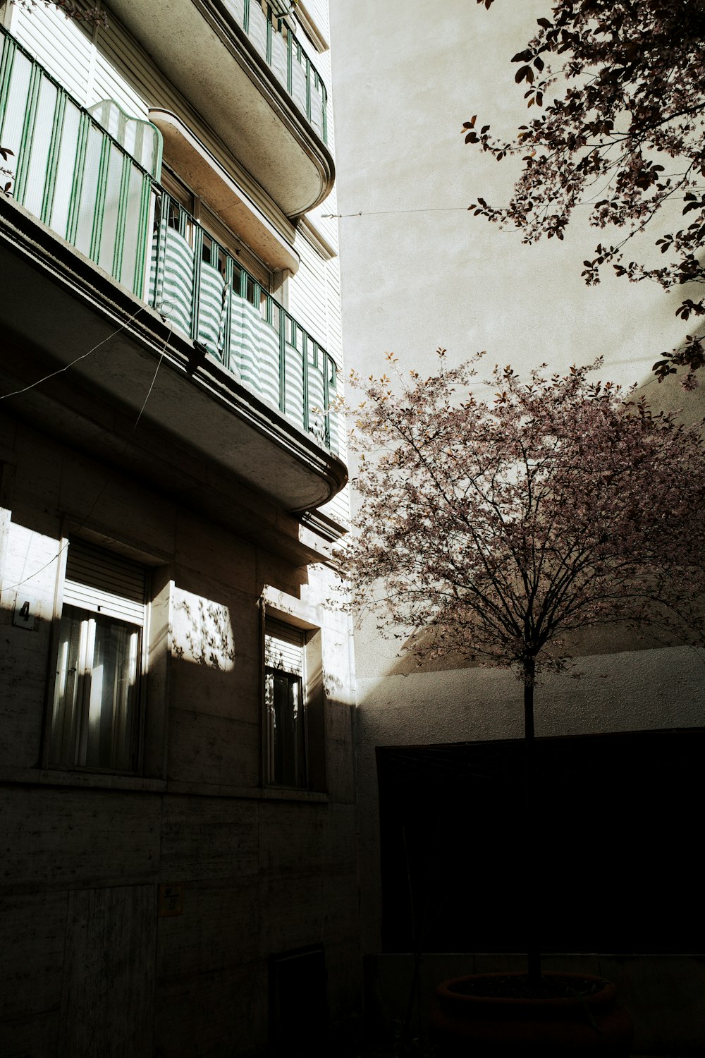 a tall building with a tree in front of it