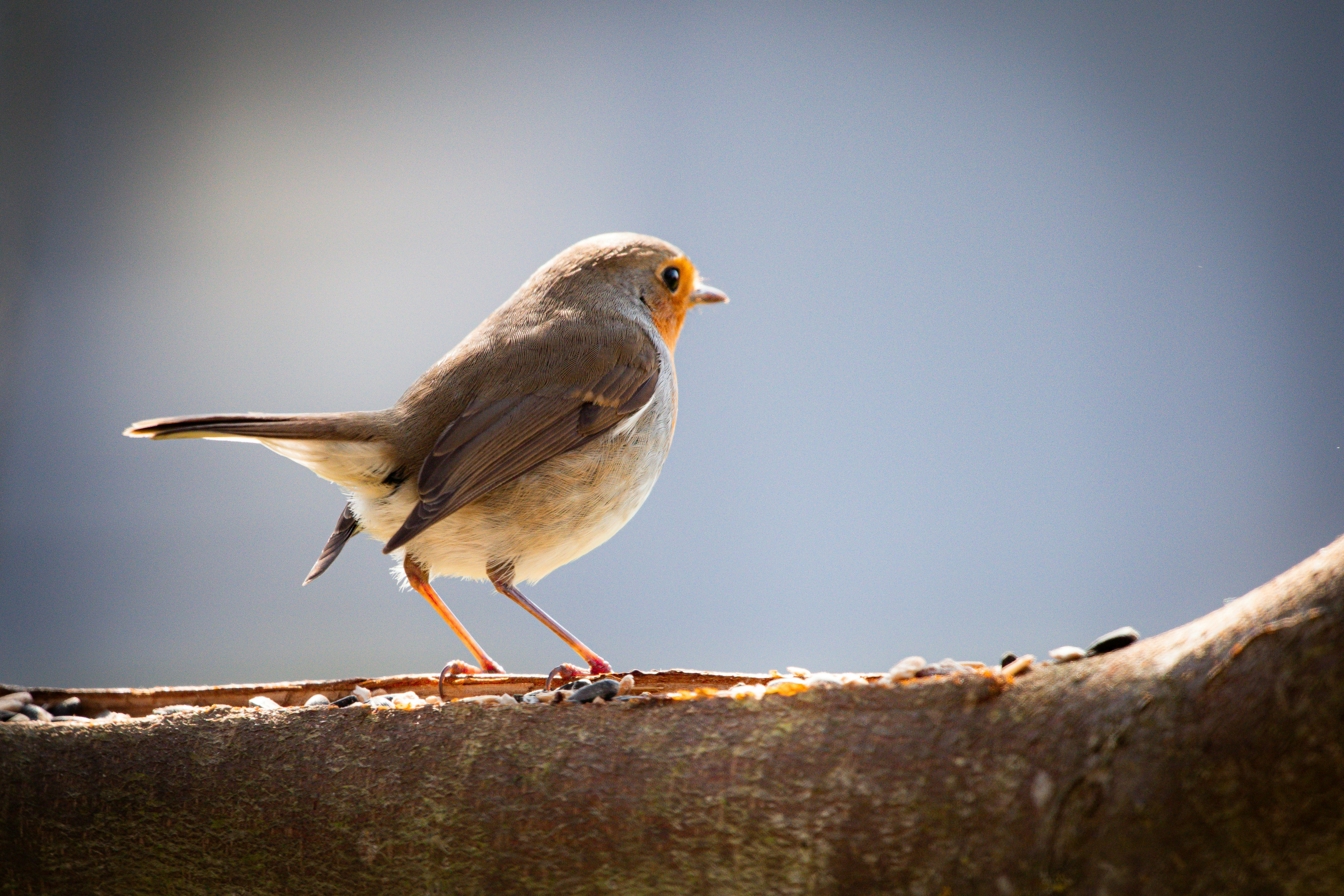 Photo by magictravel