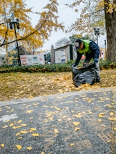 a man is picking up leaves from the ground