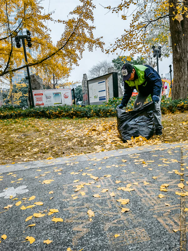 Autumn seasonal cleanup