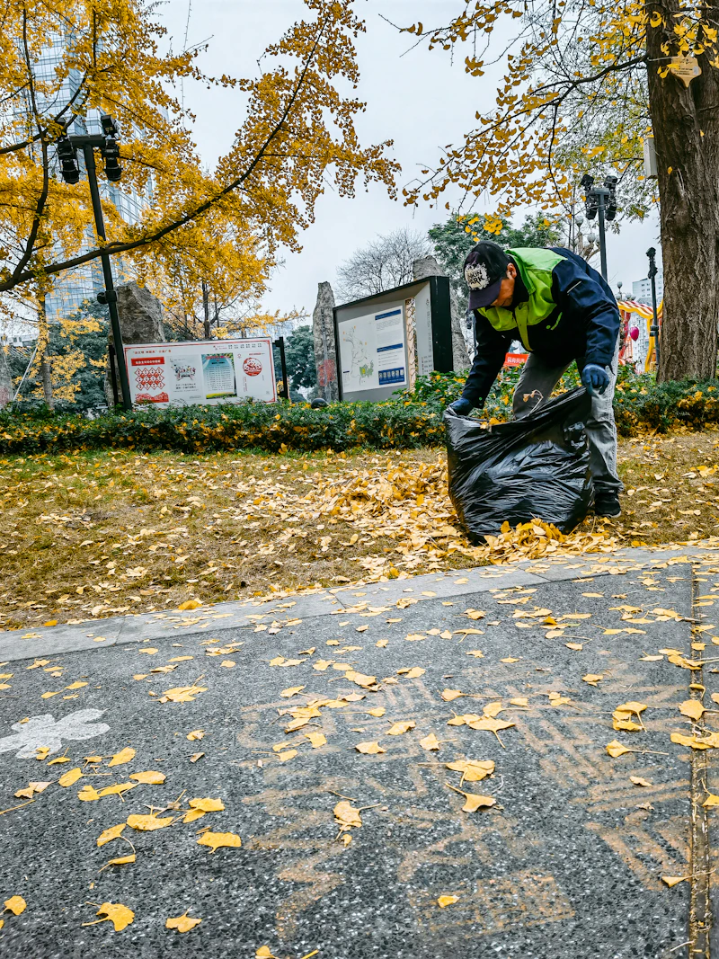 Leaf Removal