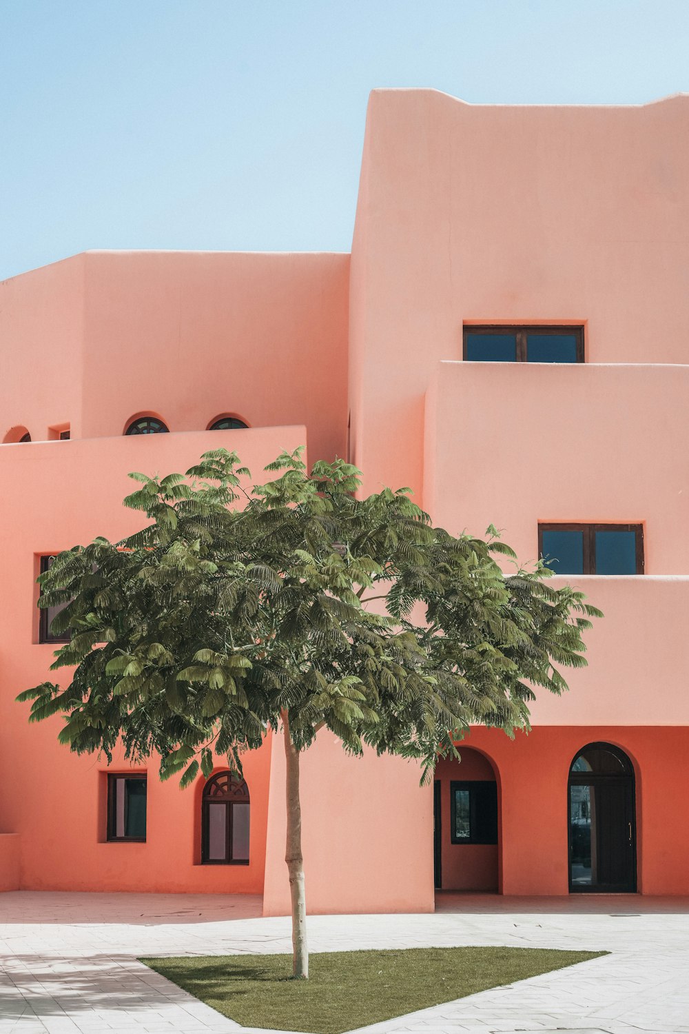 a pink building with a tree in front of it