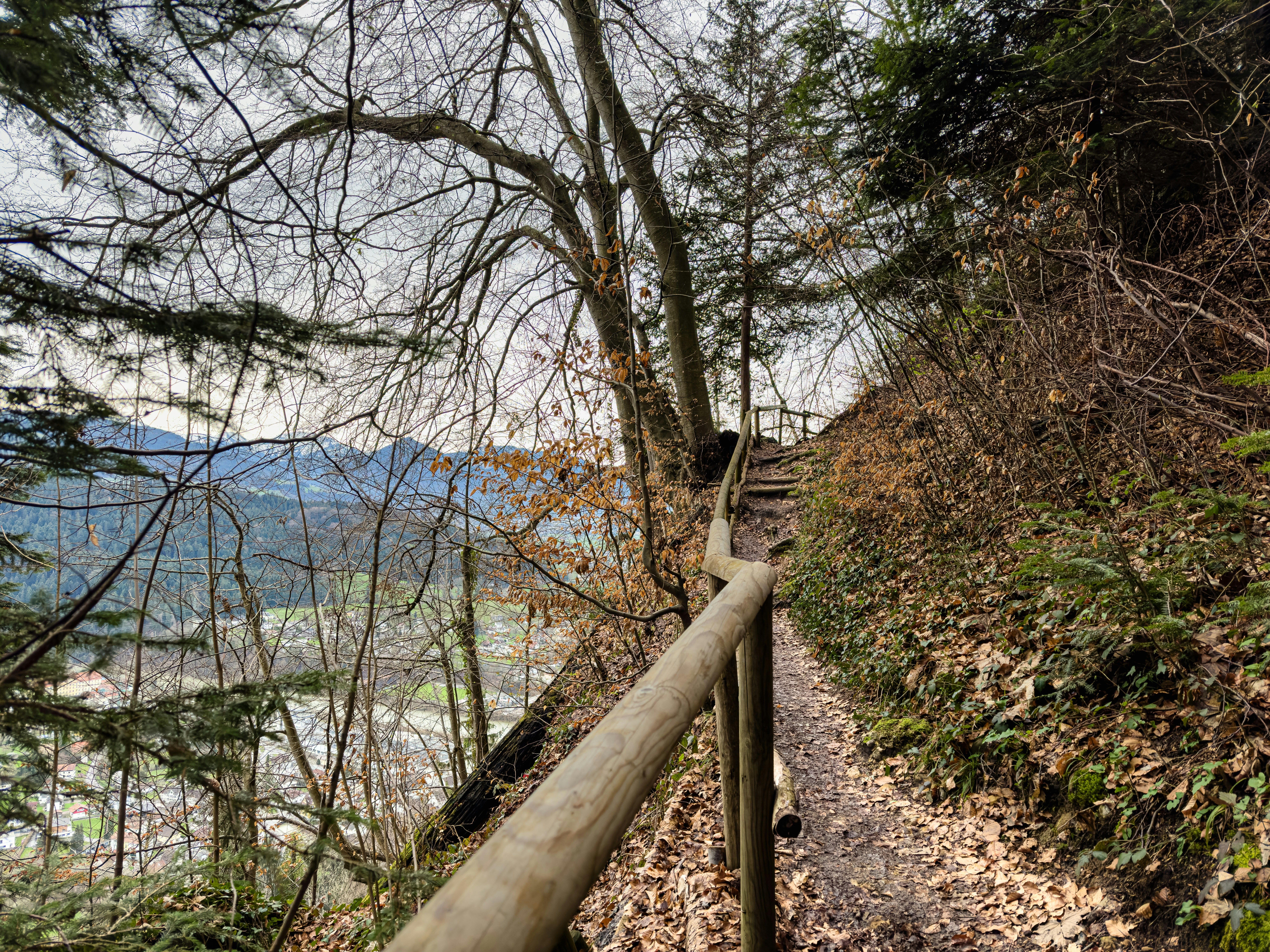 a wooden path going up a steep hill