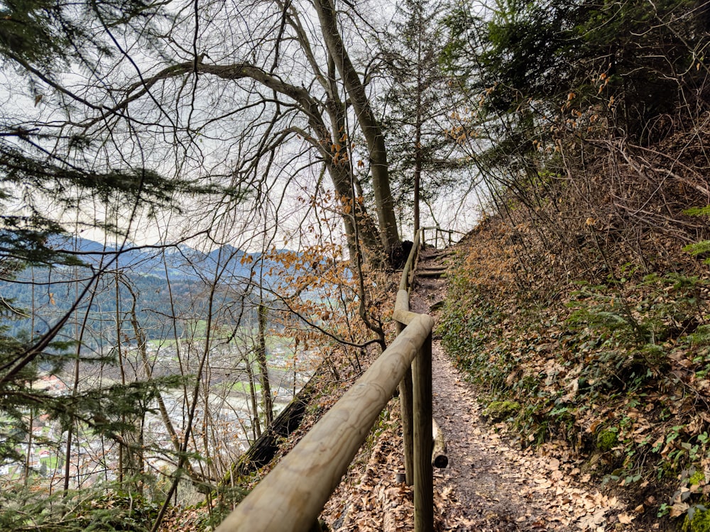 a wooden path going up a steep hill