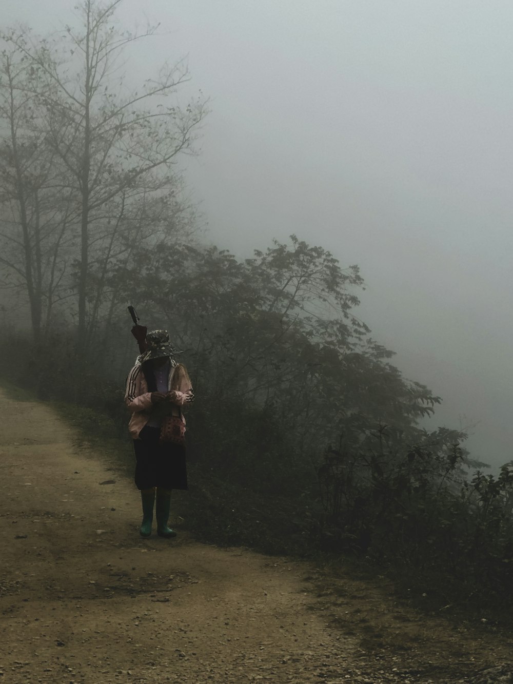 a person walking down a trail in the fog