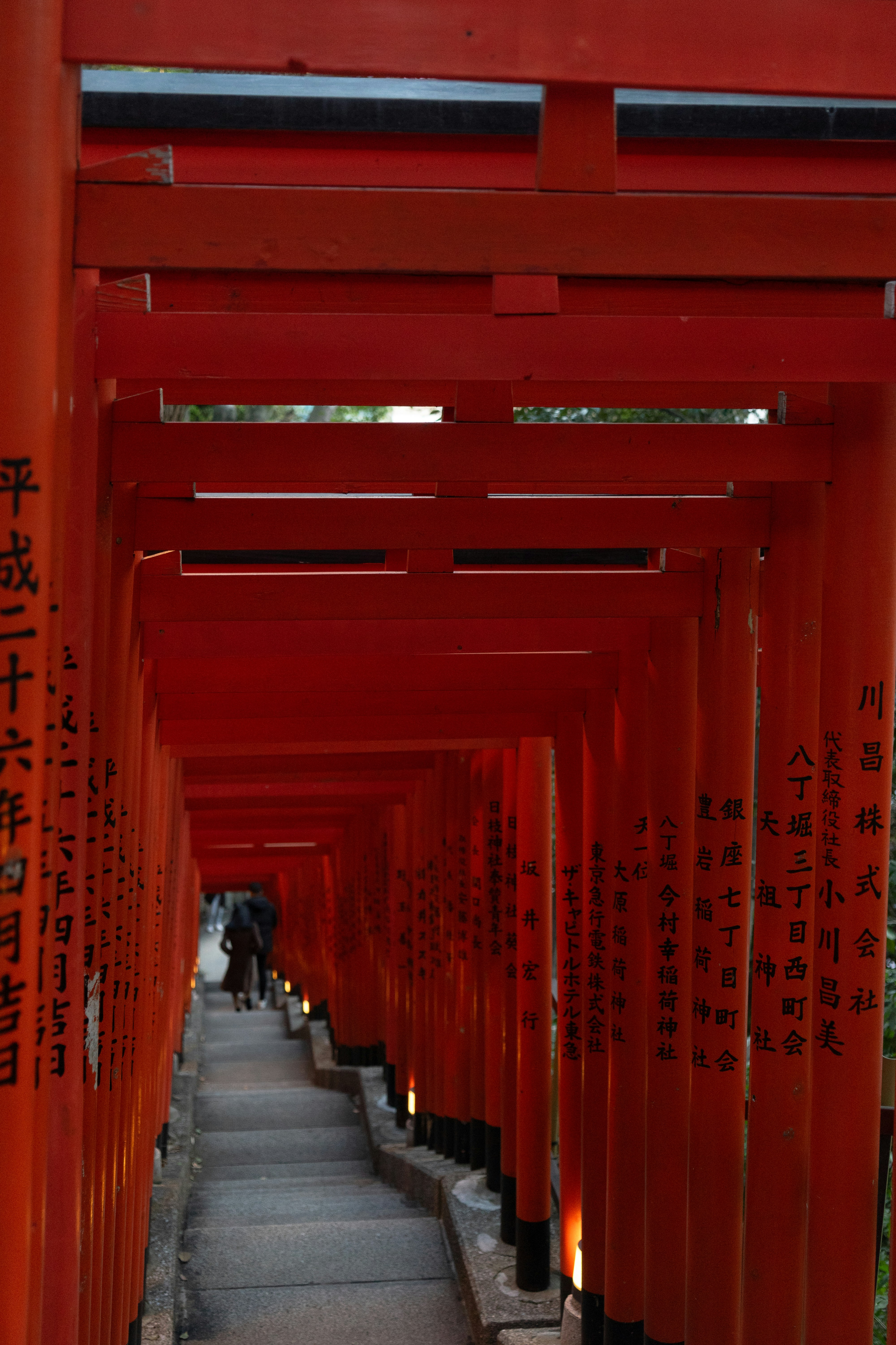 Photo by blue_hamberts