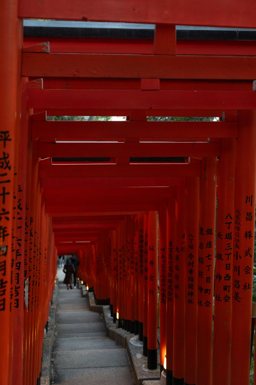 a long line of red tori tori tori tori tori tori tori tori tori tori tori