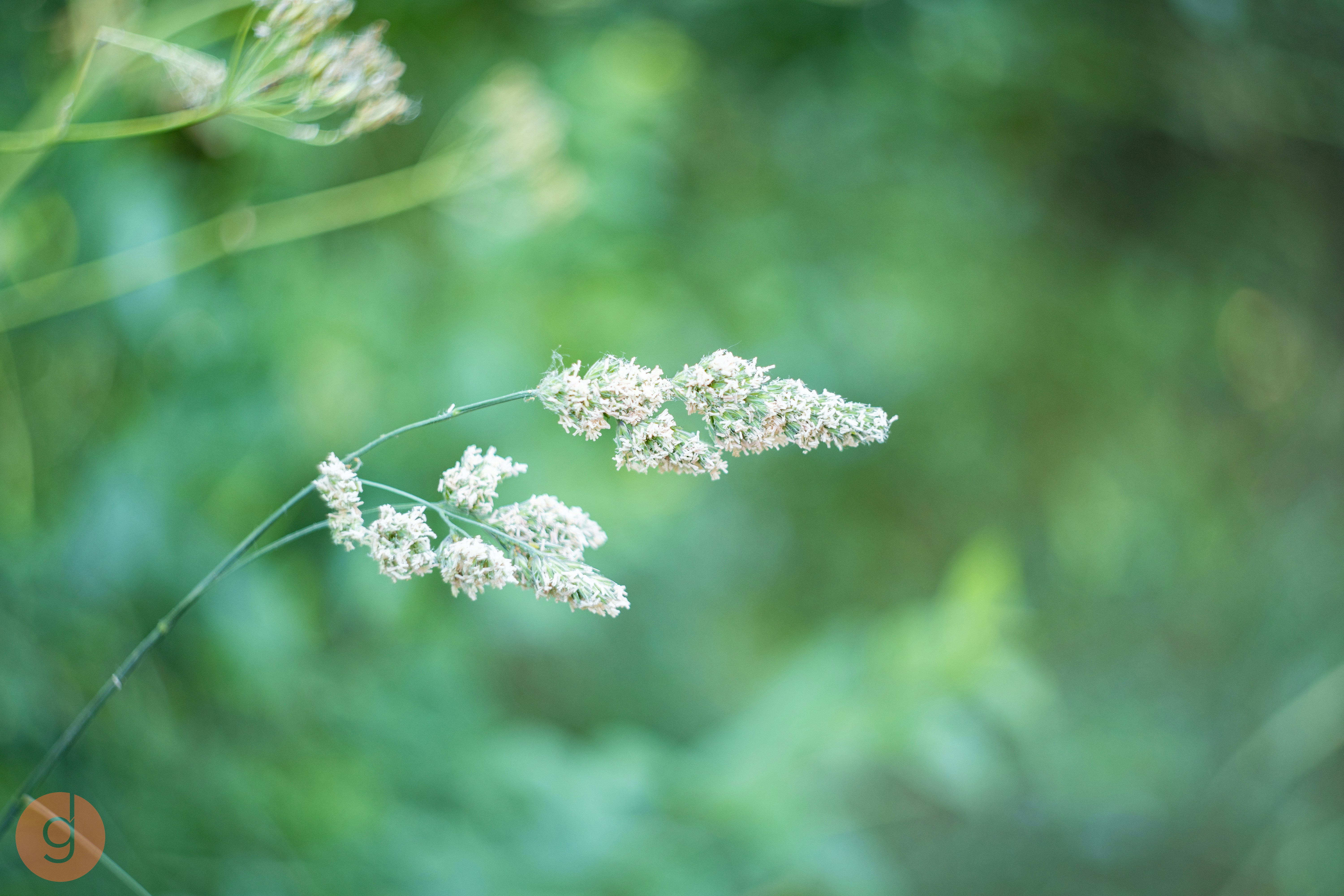 Photo by gregdesigndotart