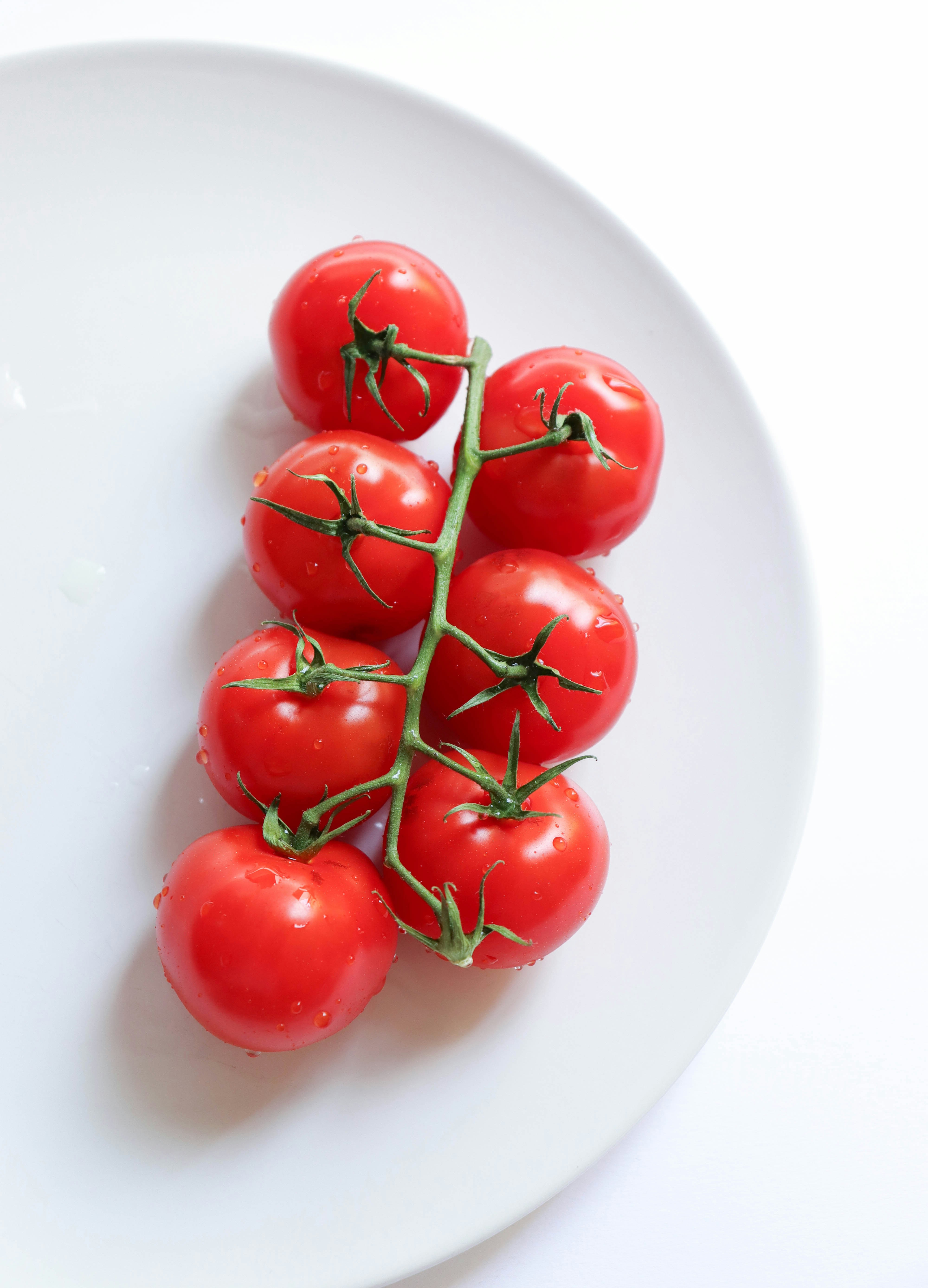 Photo by sweetlavender