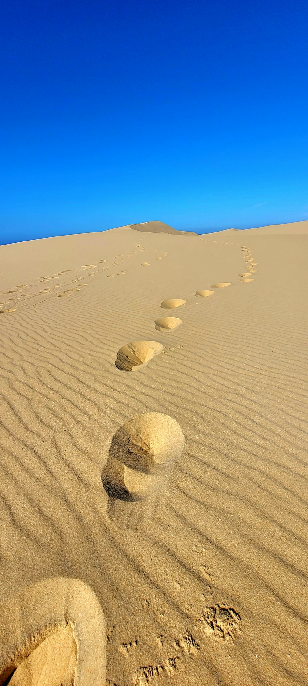 a long line of rocks in the middle of a desert