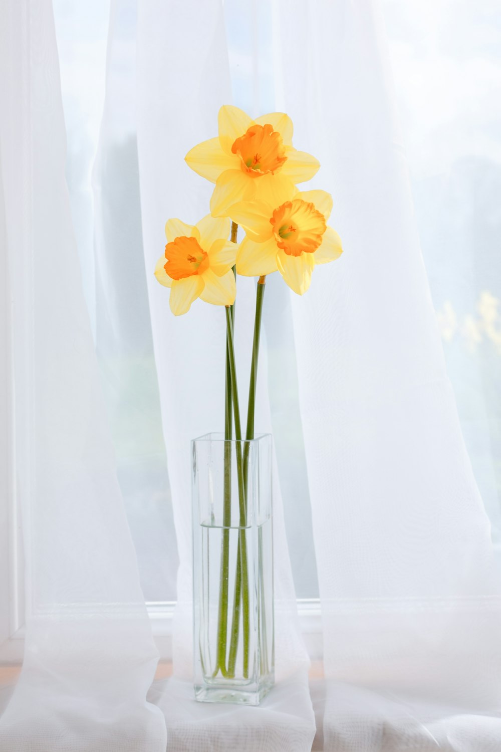 eine Glasvase gefüllt mit gelben Blumen auf einem Tisch