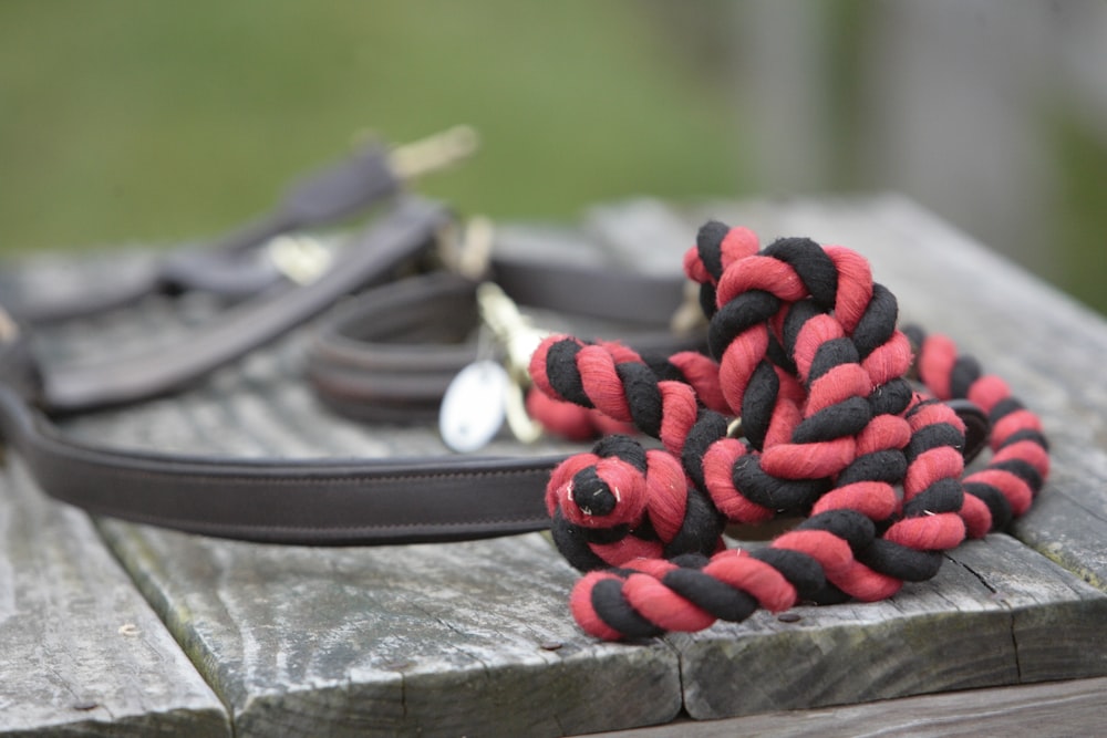 a red and black rope leash on a wooden table