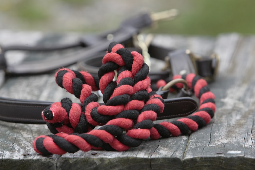 a black and red leash and a black and white leash