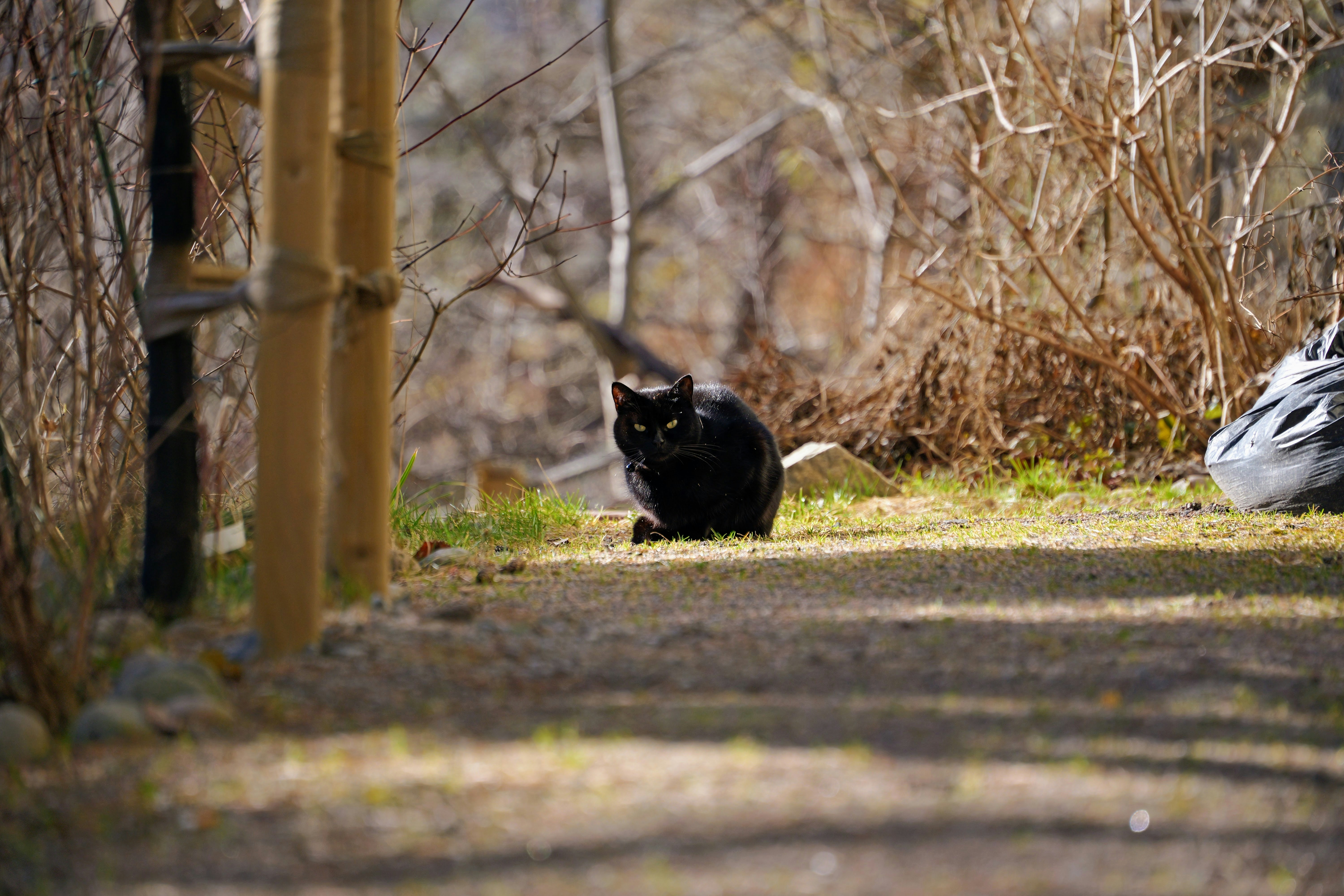 Encouragement of Emotional Independence (image credits: unsplash)