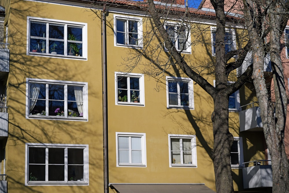 a yellow building with several windows and a bench in front of it